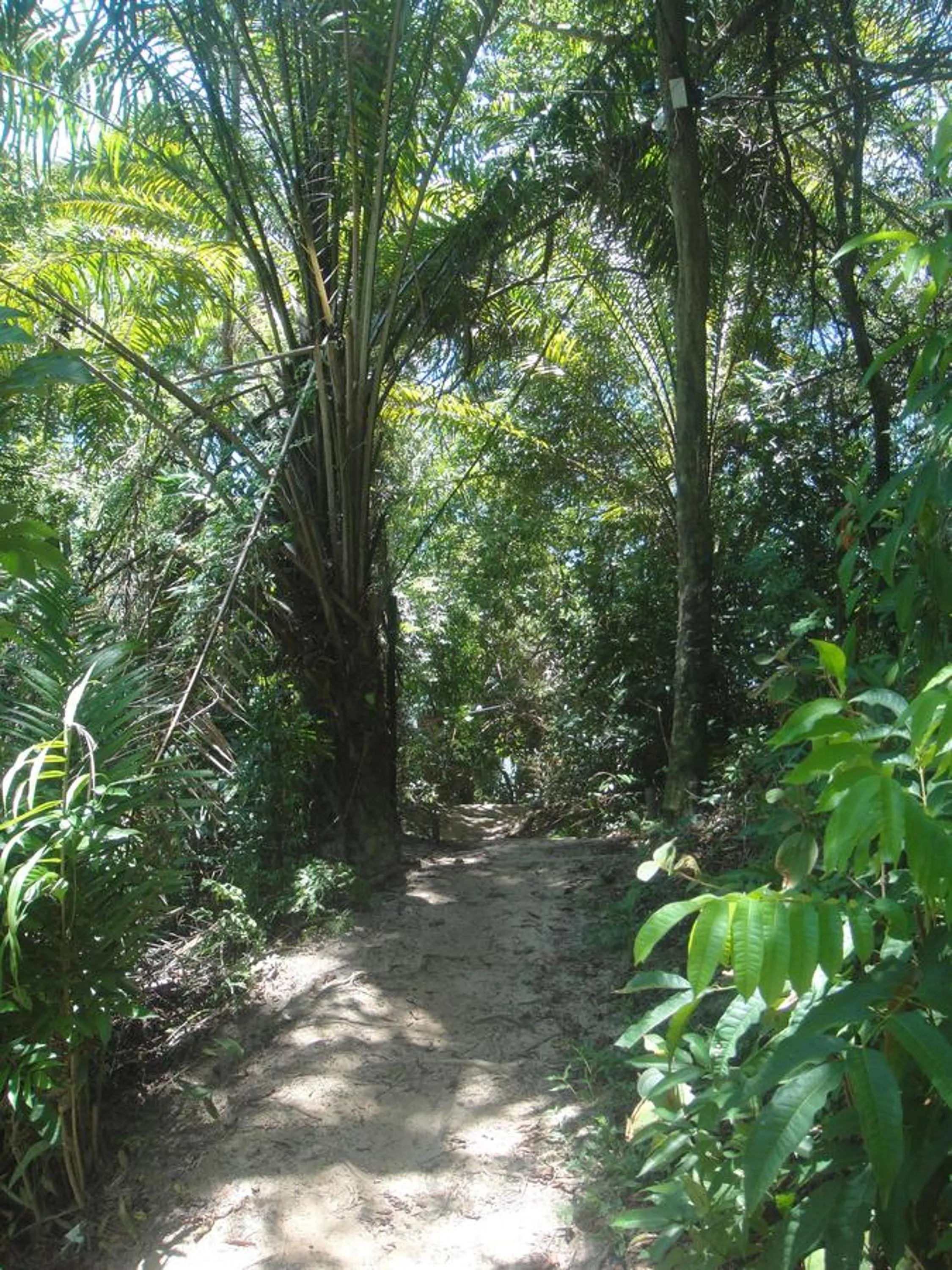 Natural landscape in Casa Shuhari