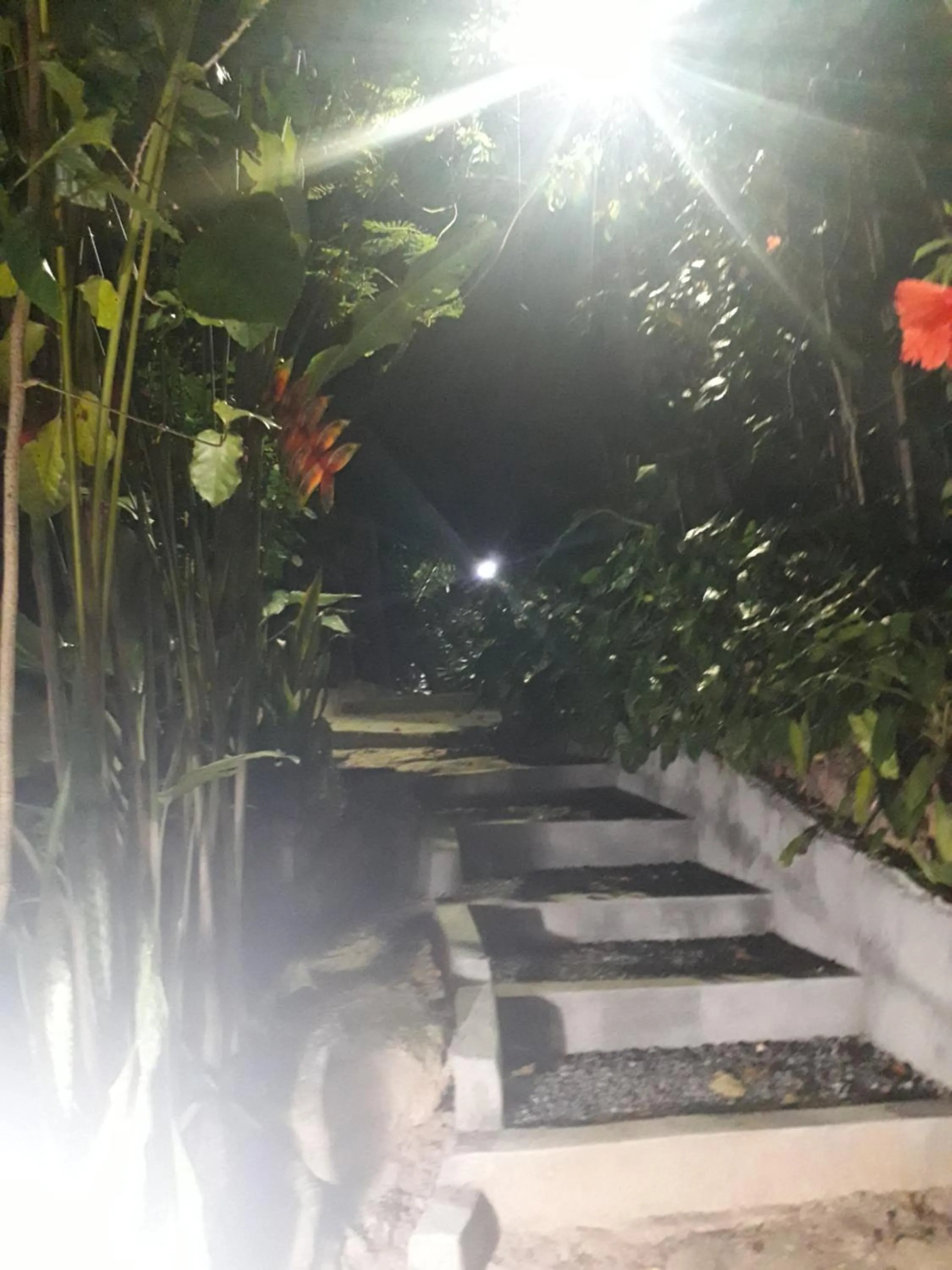 Casa Shuhari
