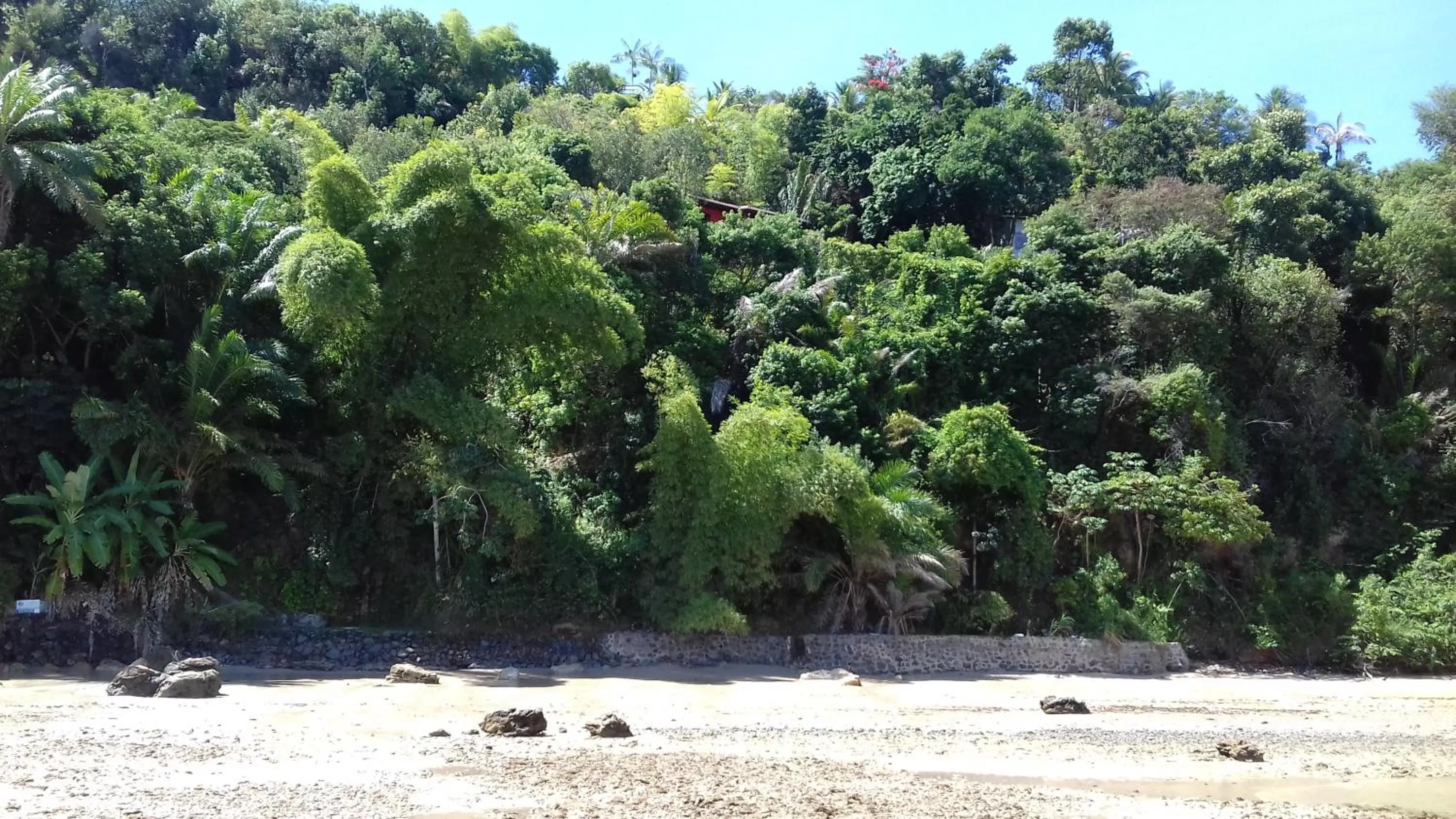 Beach in Casa Shuhari