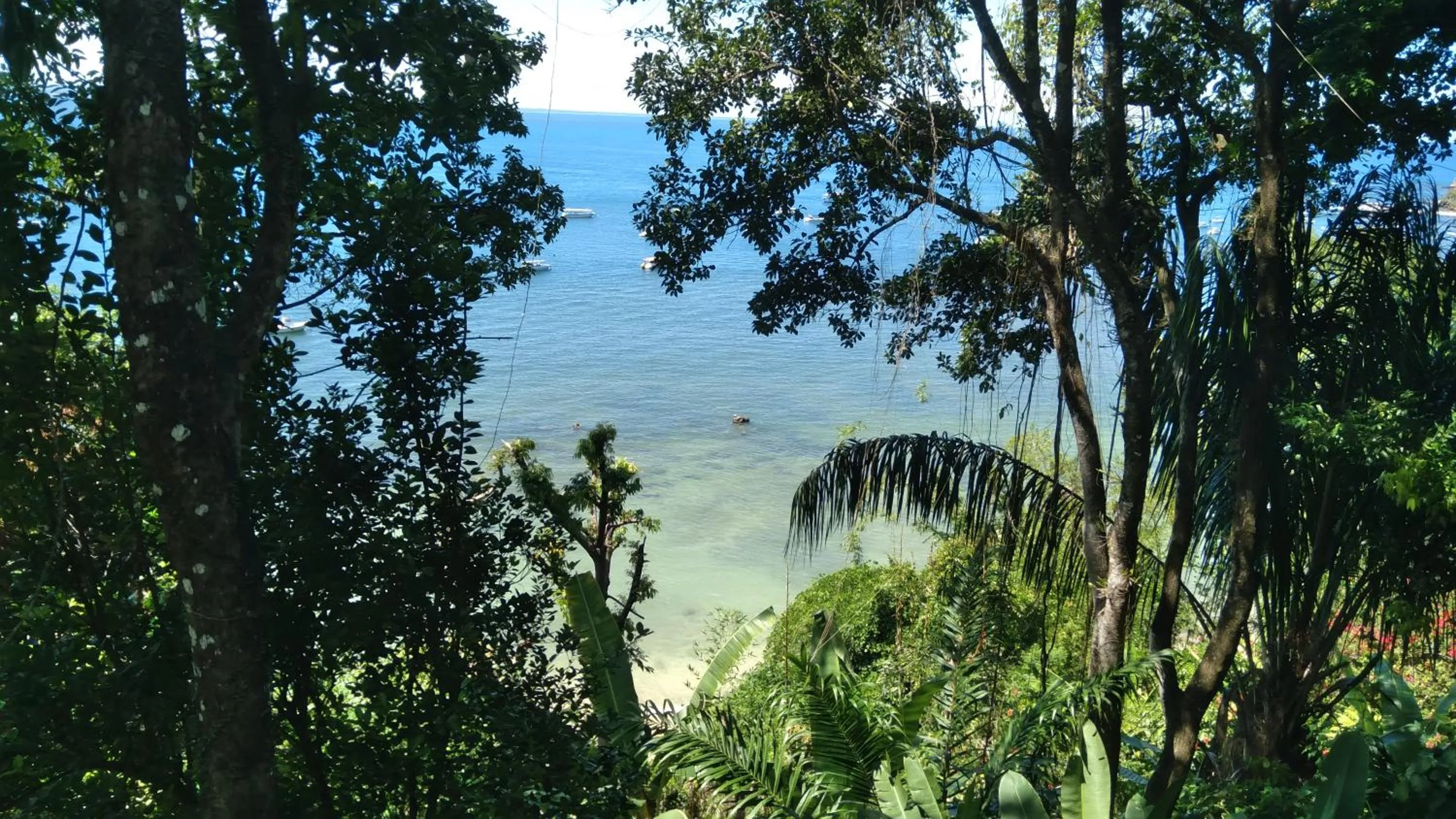 Casa Shuhari