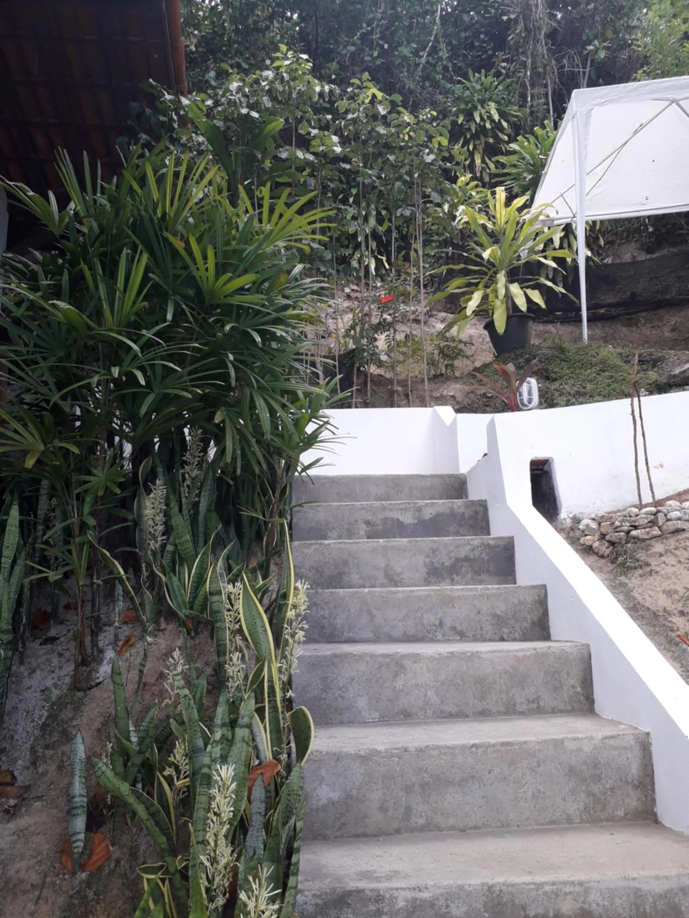 Casa Shuhari