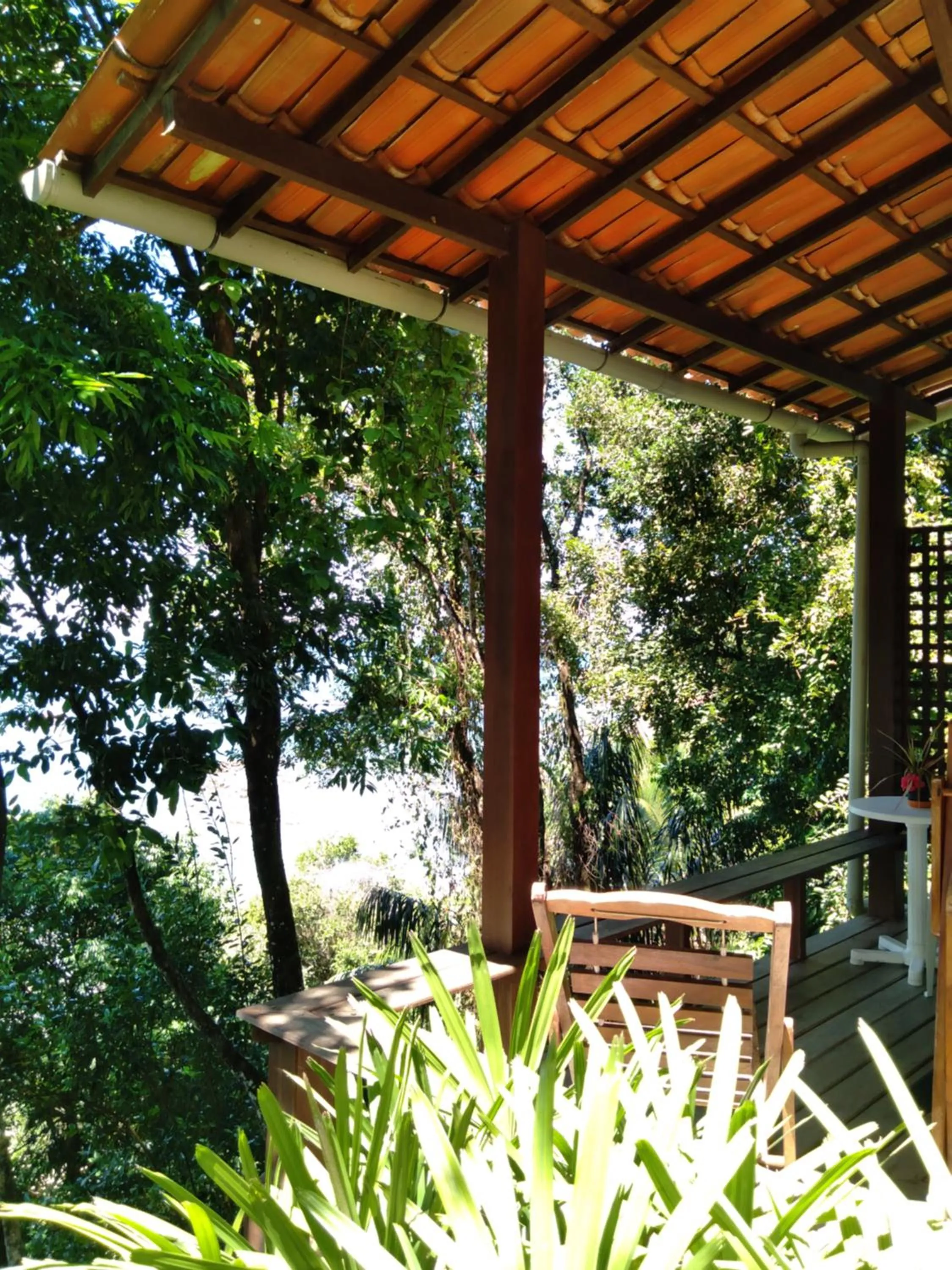 Casa Shuhari