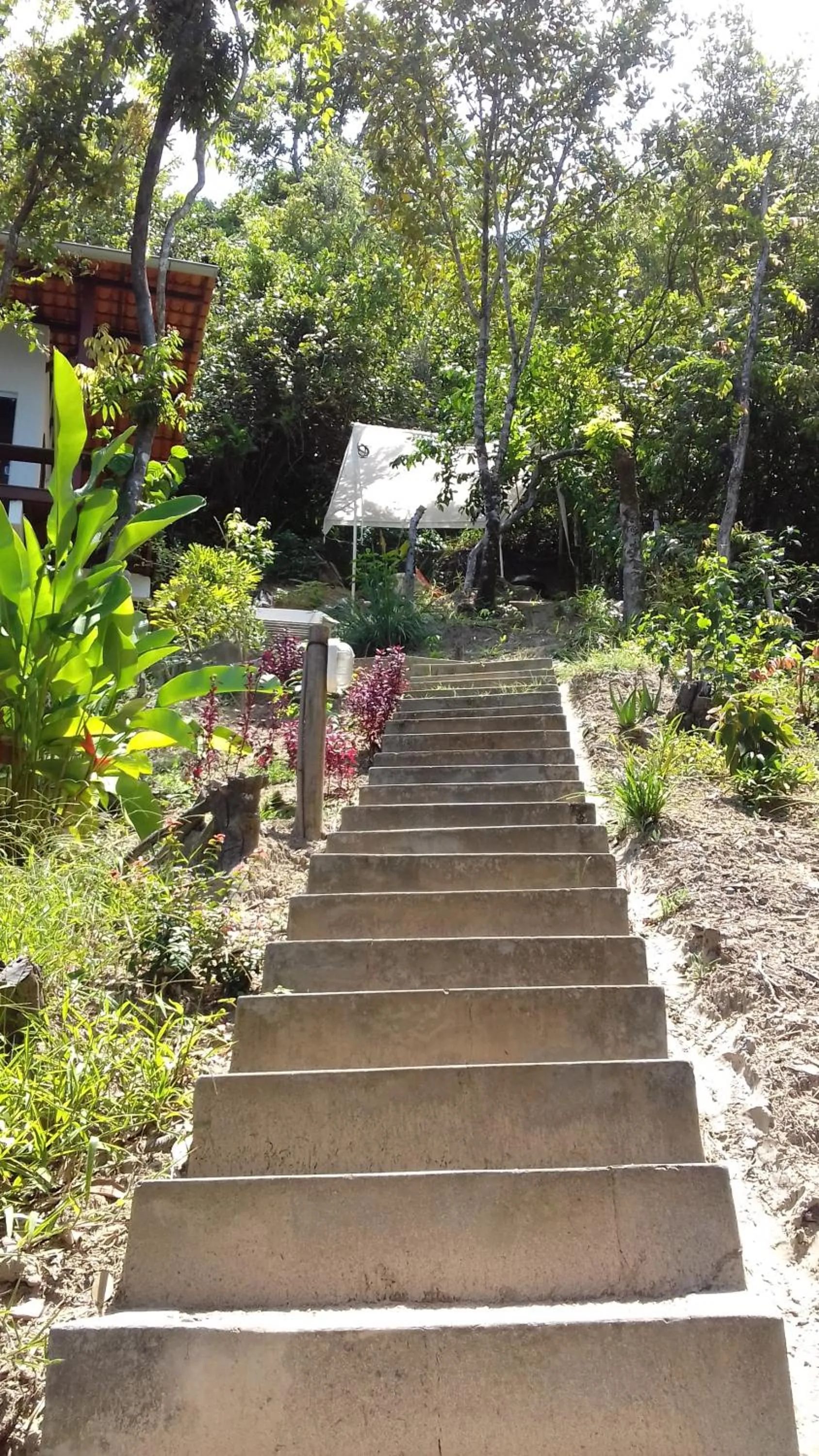 On site in Casa Shuhari