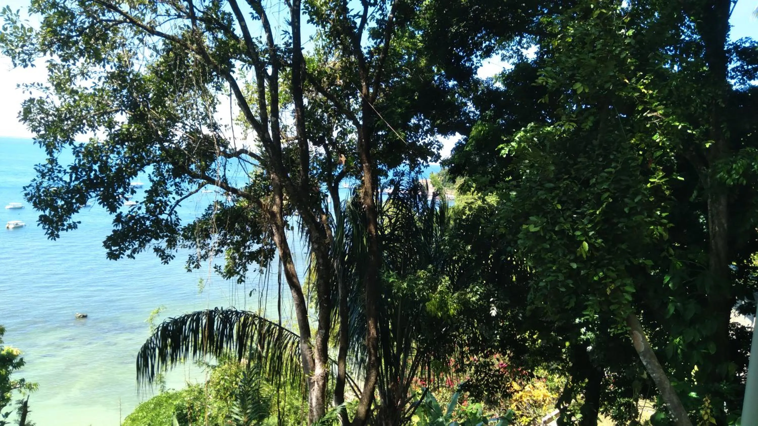 Casa Shuhari