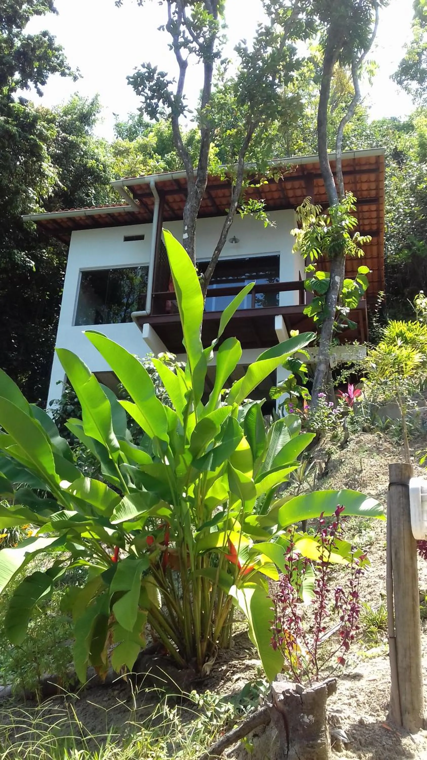 Property building in Casa Shuhari