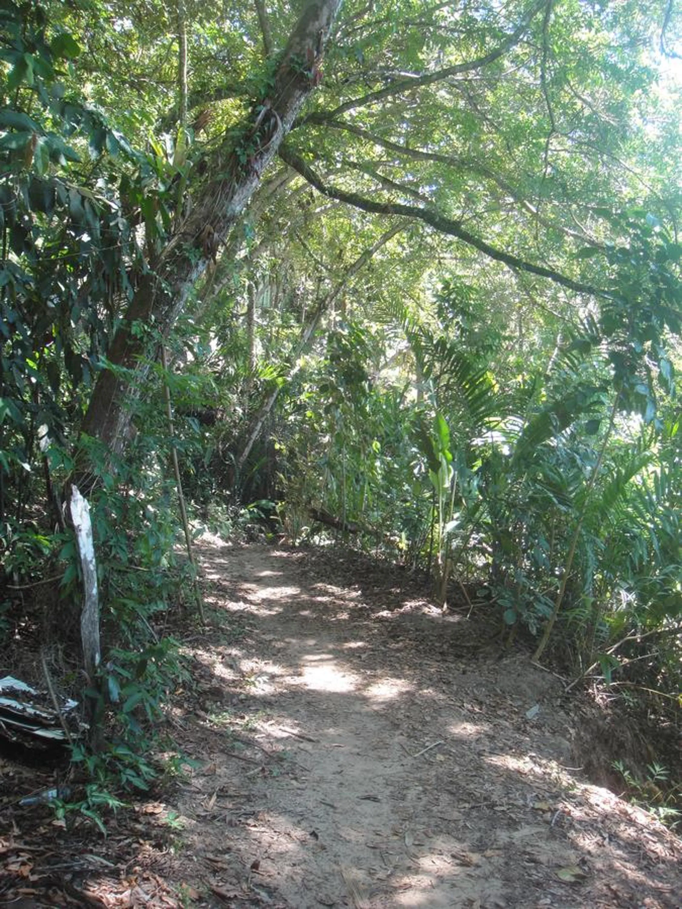 Natural landscape in Casa Shuhari