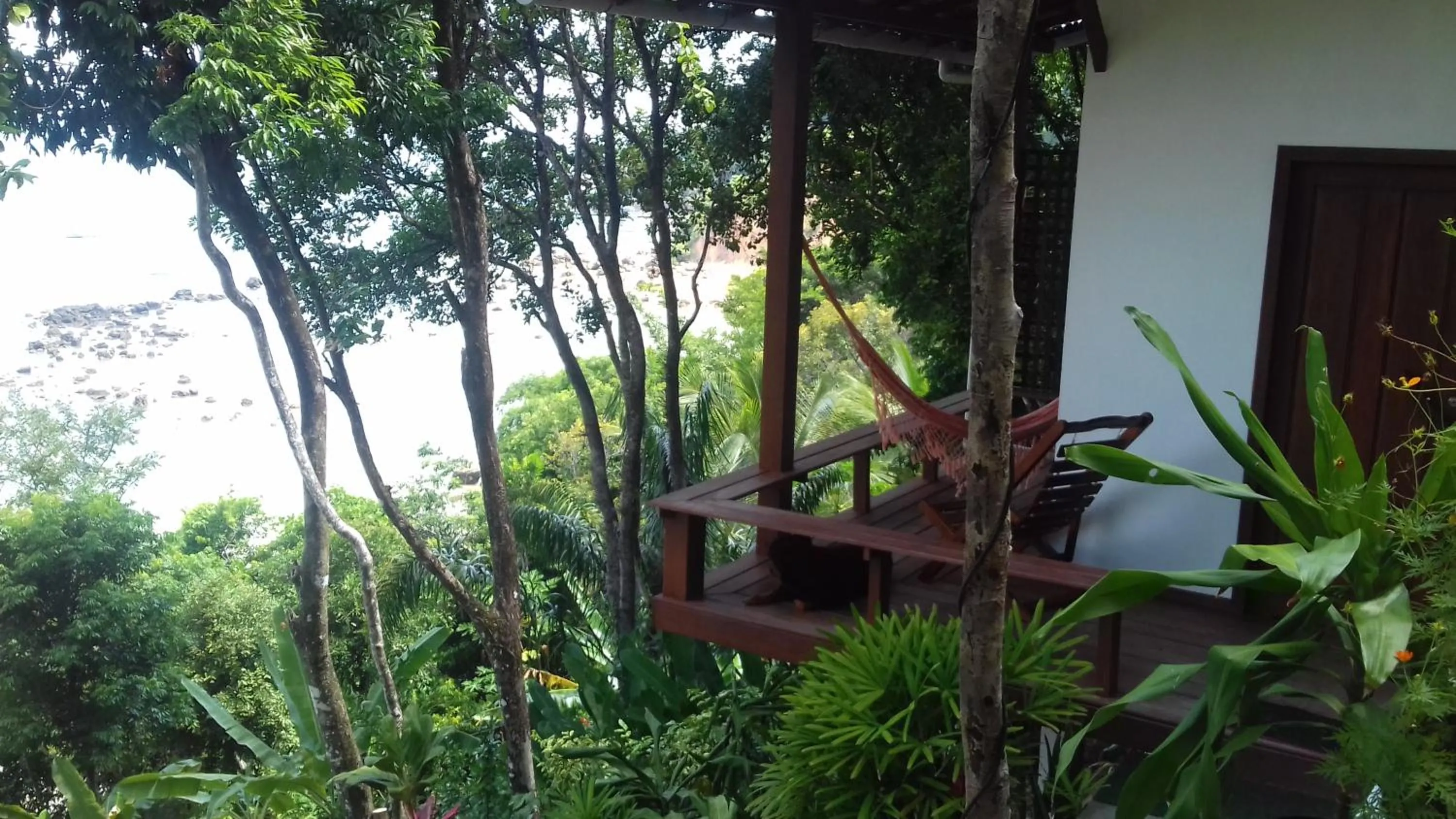 Casa Shuhari