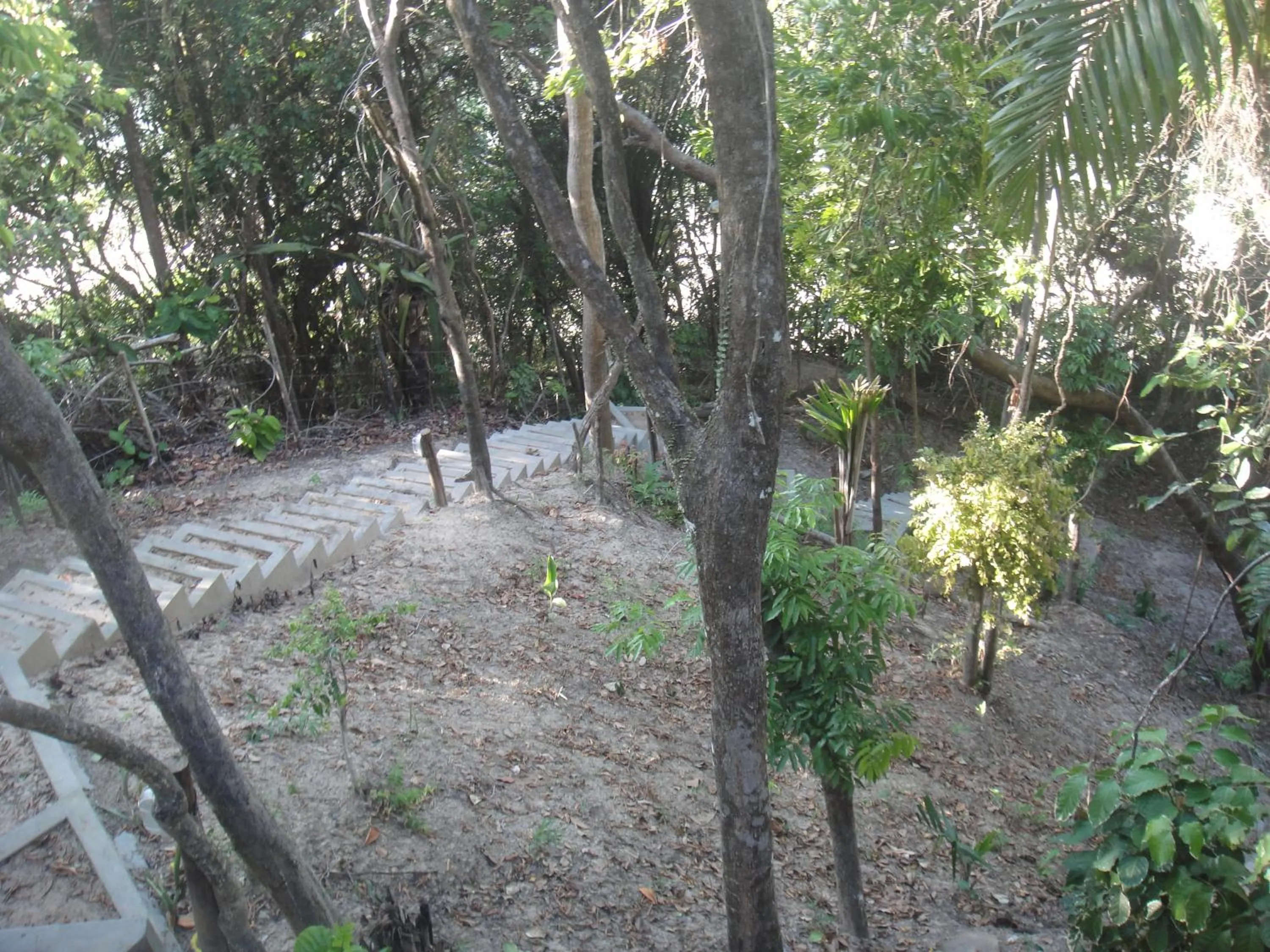 Garden view in Casa Shuhari