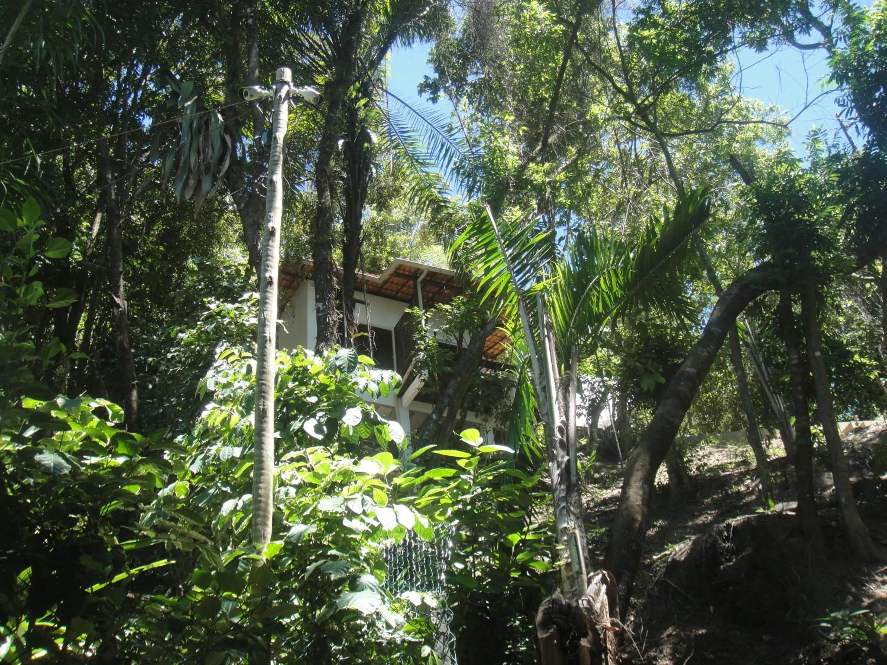 Property building in Casa Shuhari