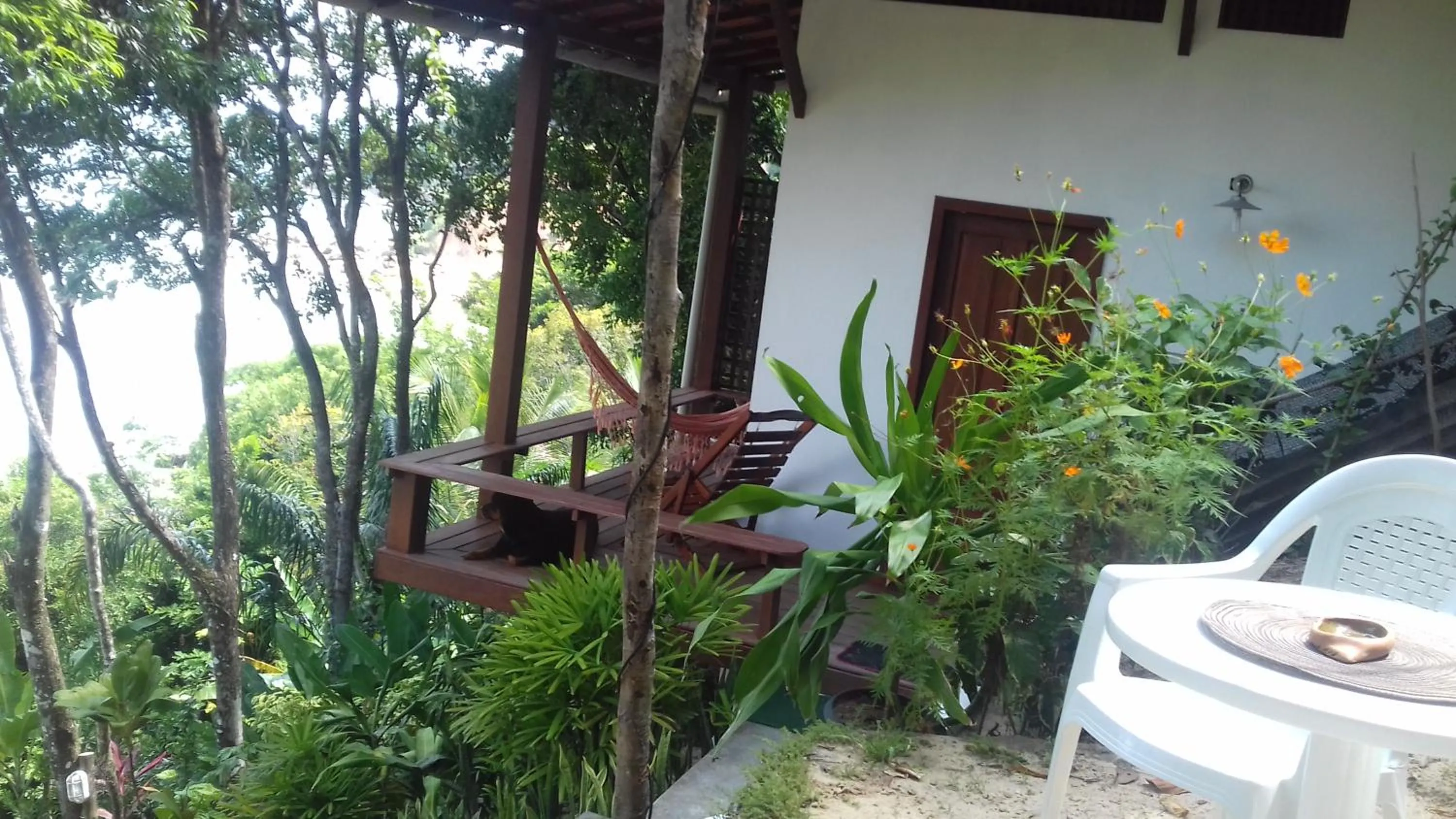 Casa Shuhari