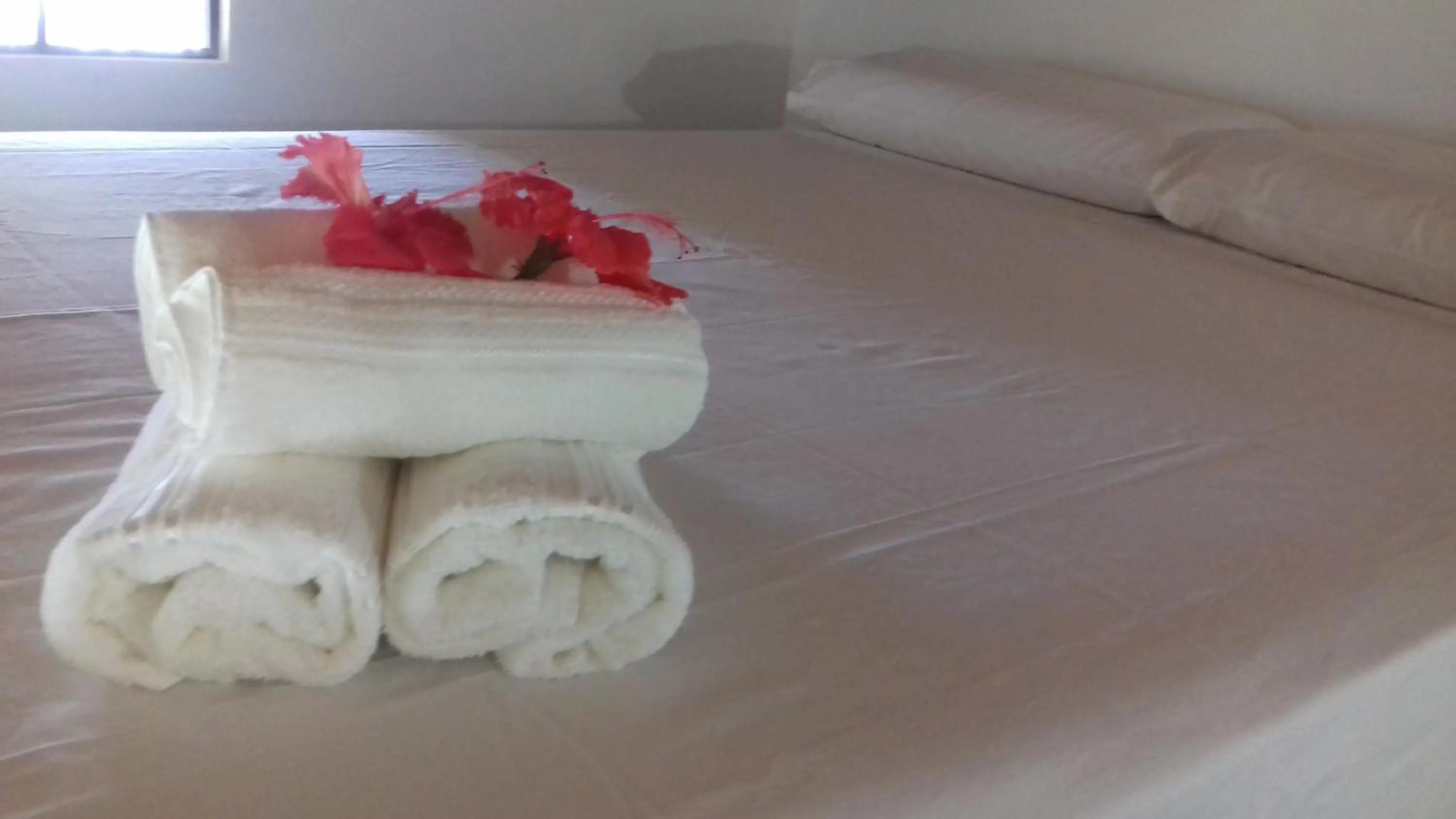 Bed in Casa Shuhari