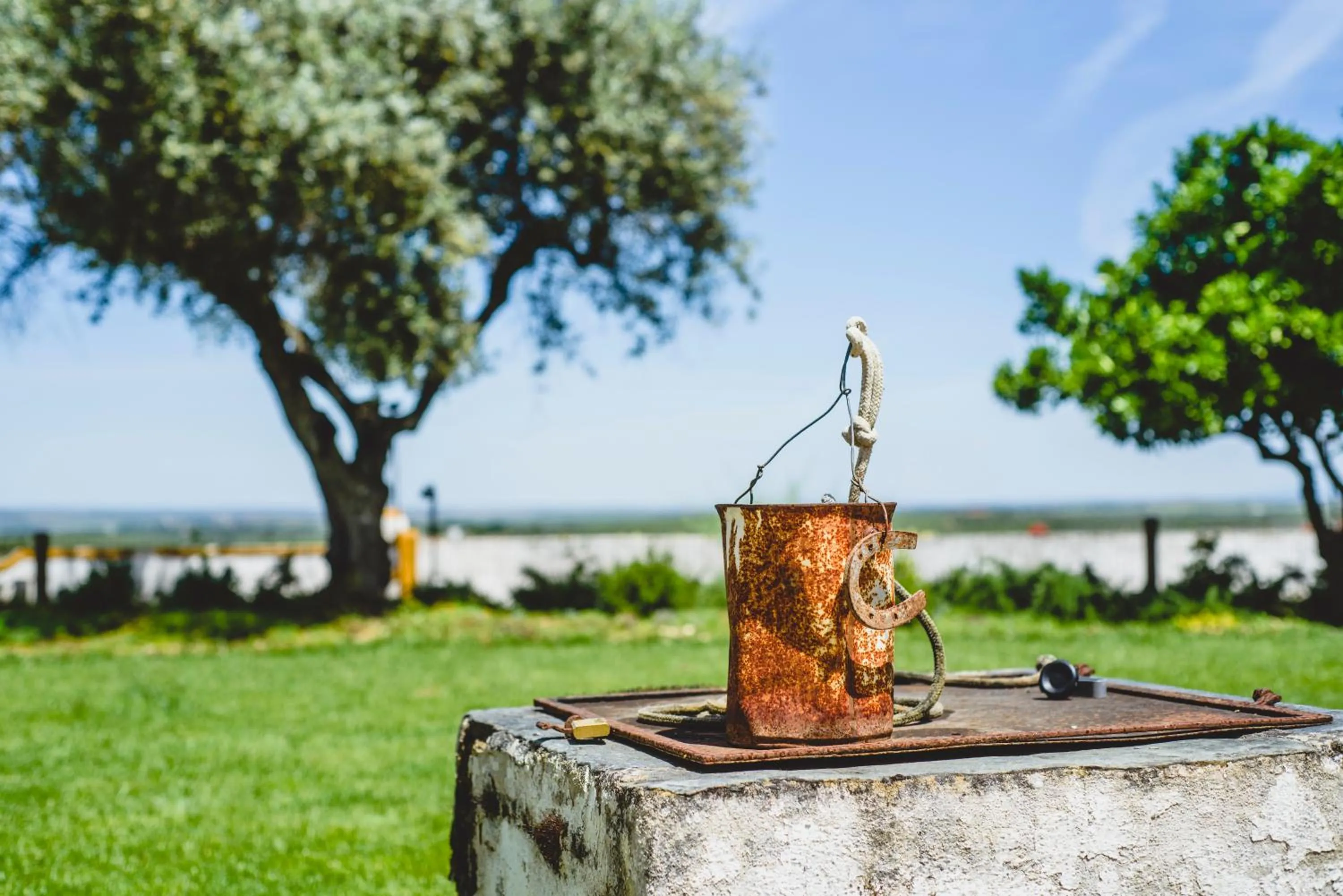 Garden in Casa da Moira