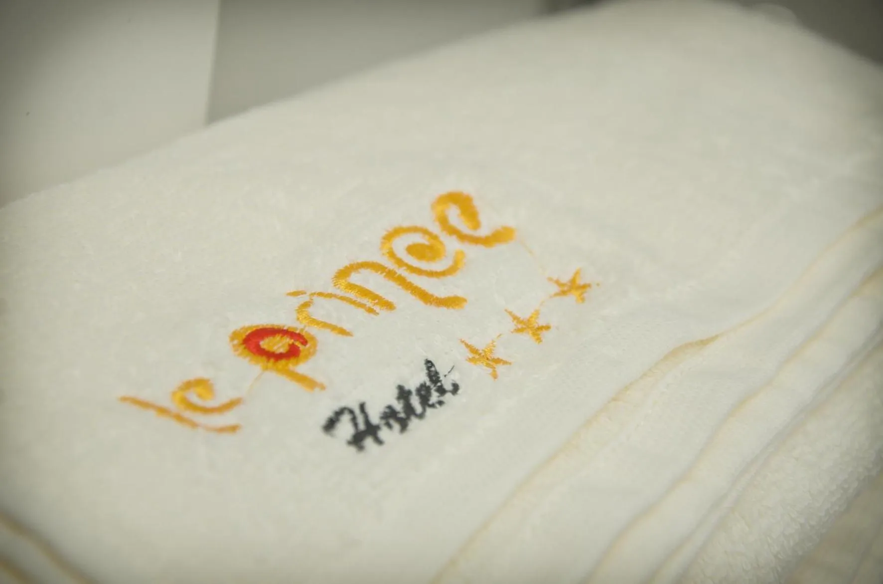 Property logo or sign in Le Prince Arica