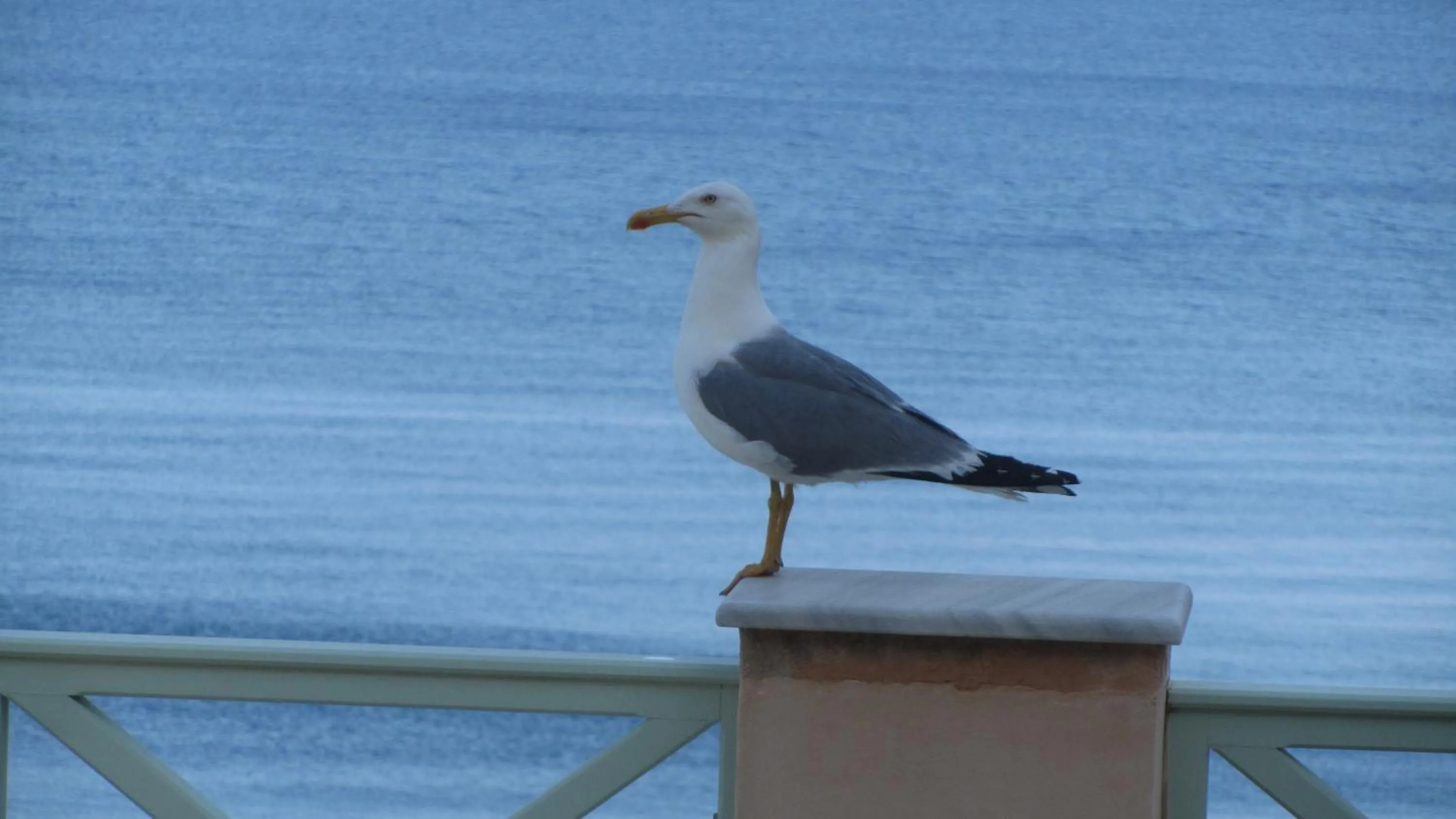 Balcony/Terrace in Apollonos Seafront Apartment