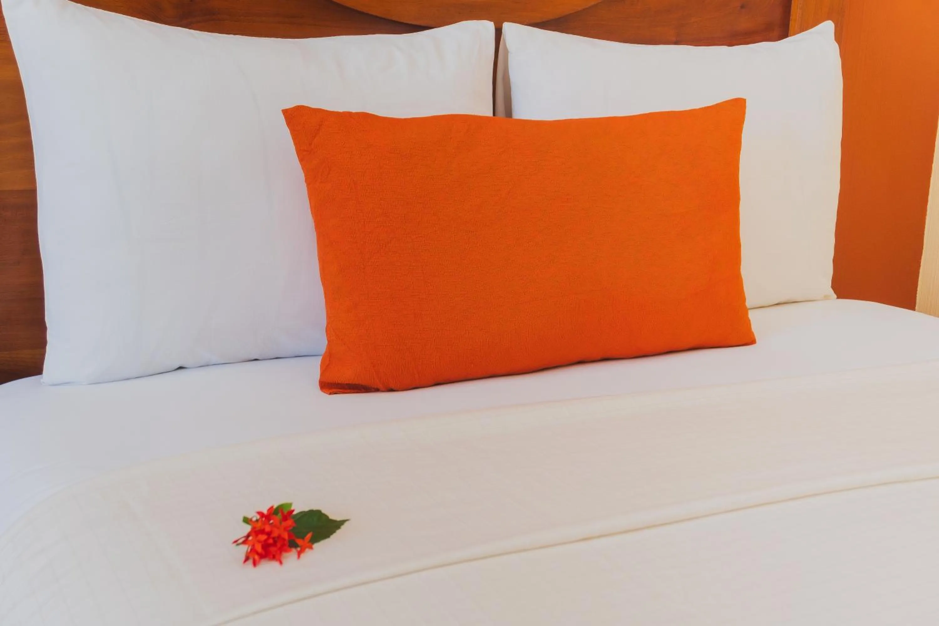 Bed in Casa Danna Huatulco