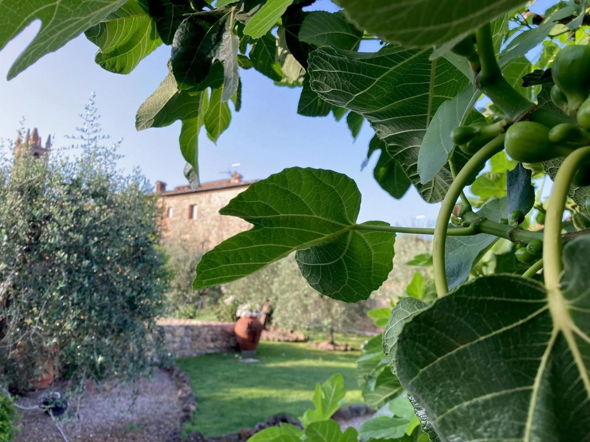 Garden view in Hotel Monteriggioni