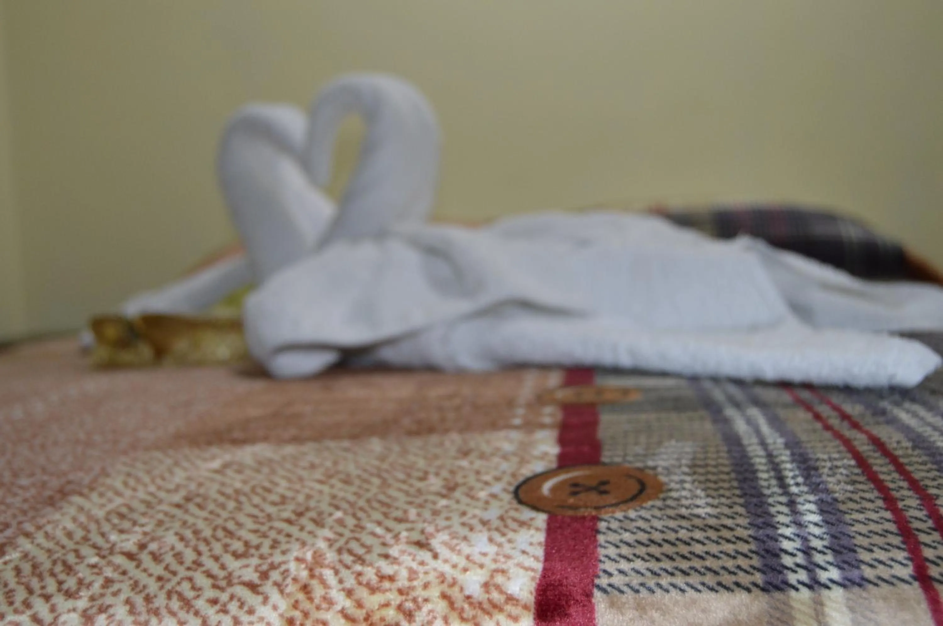 Decorative detail, Bed in Balcones del Río Hotel