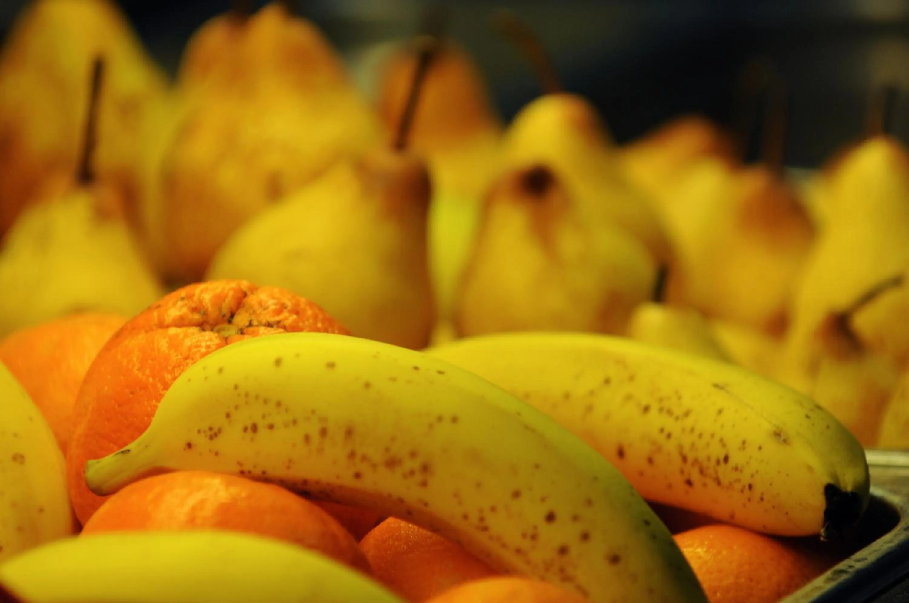 Food and drinks in INATEL Foz Do Arelho