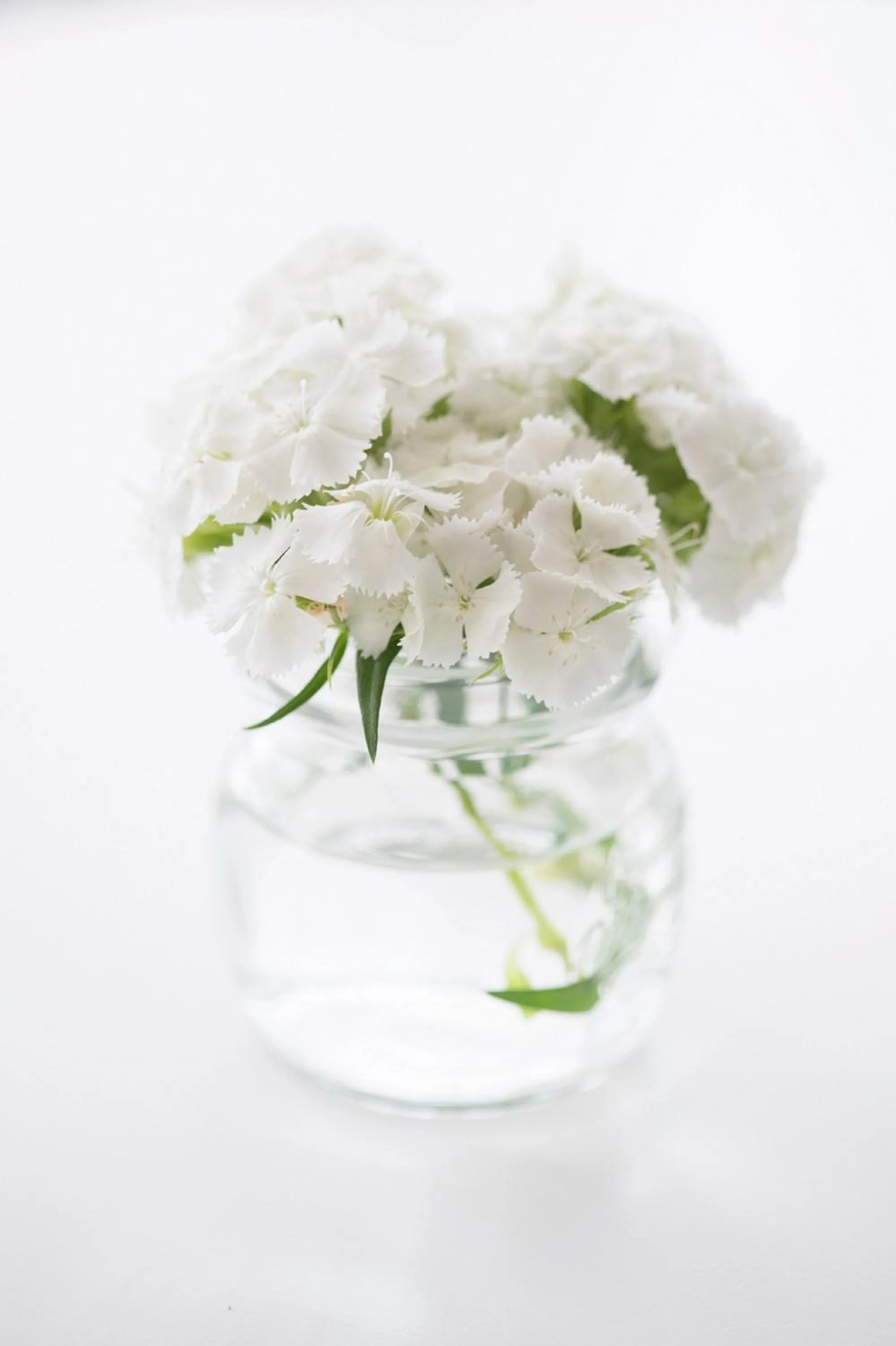 Lobby or reception in Ariae Dépendance - Alihotels