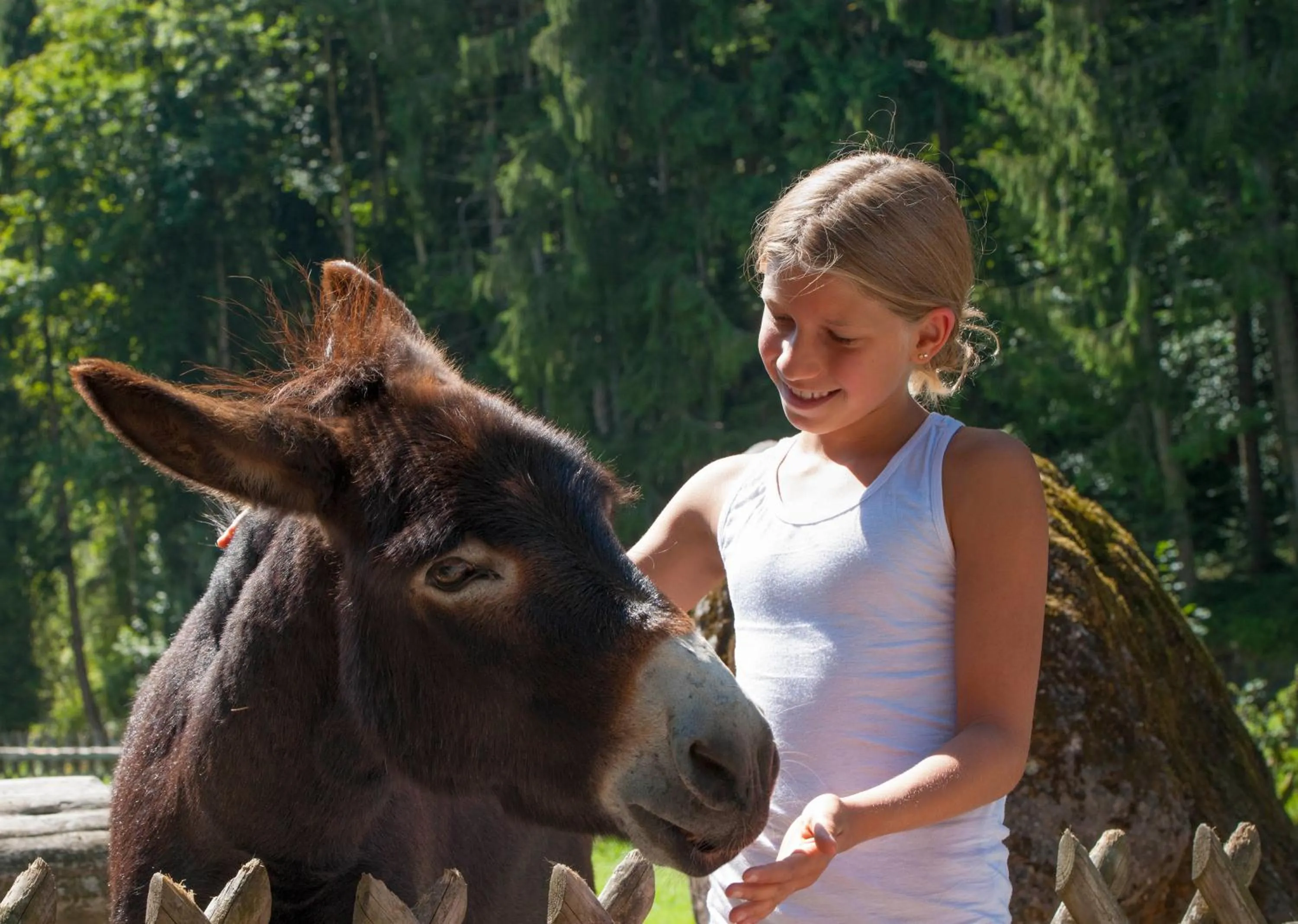 Day in Ferienappartements Landhof