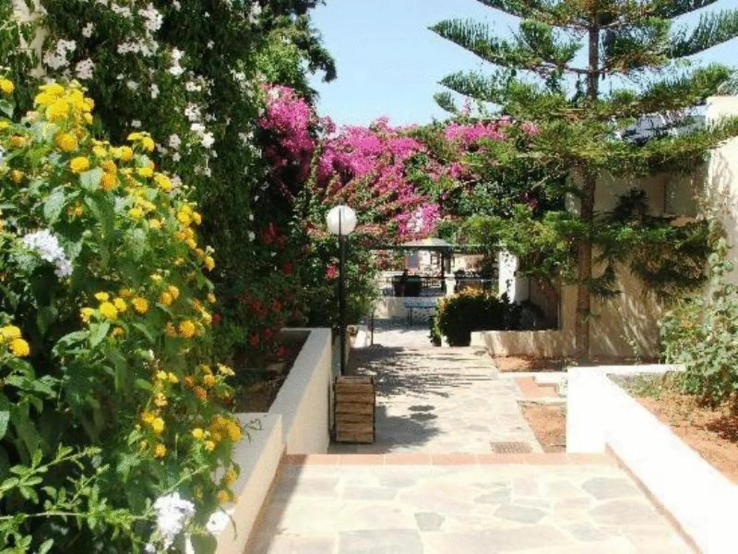 Garden in Anastasia Hotel Stalis