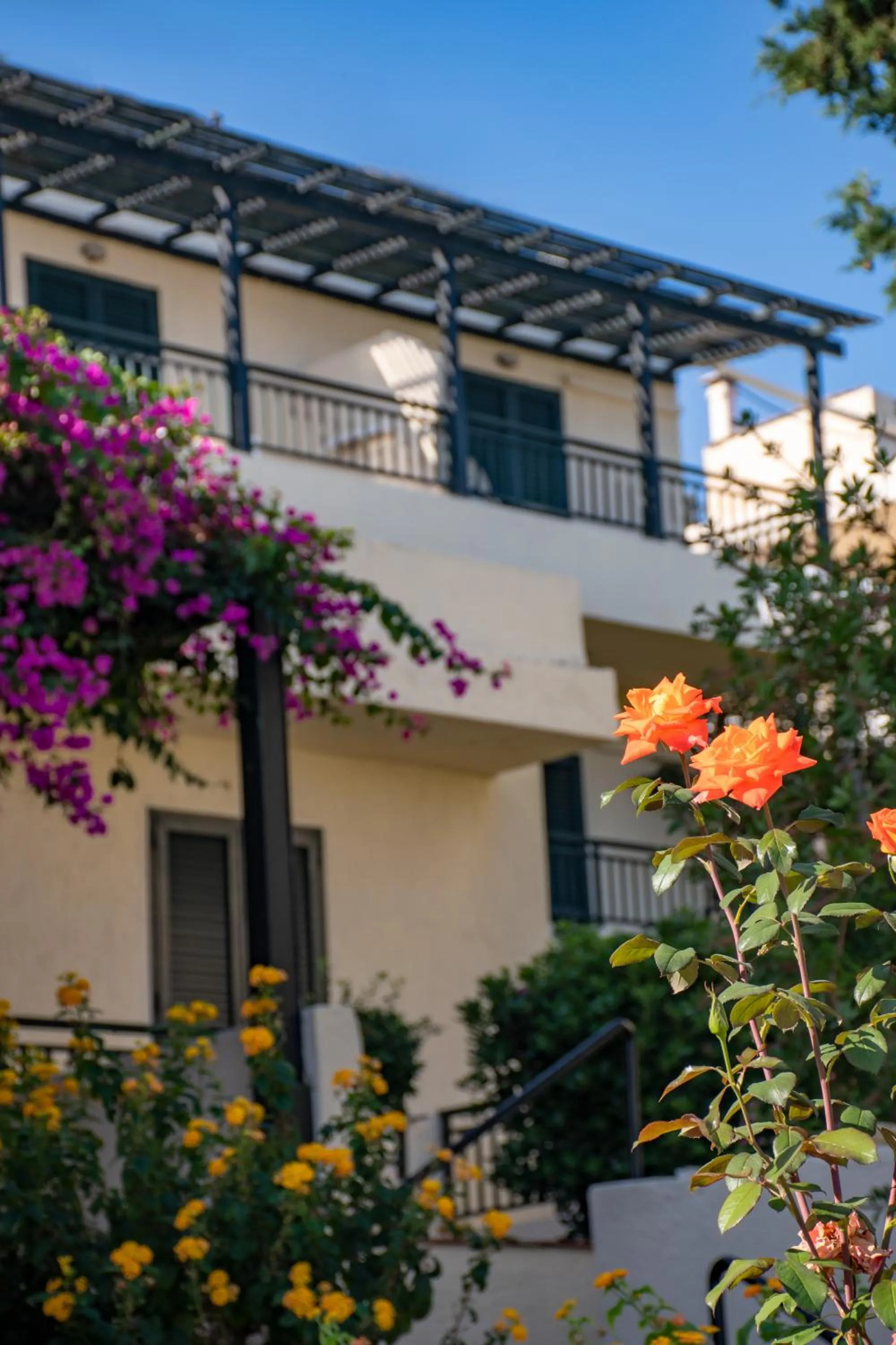 Property building in Anastasia Hotel Stalis