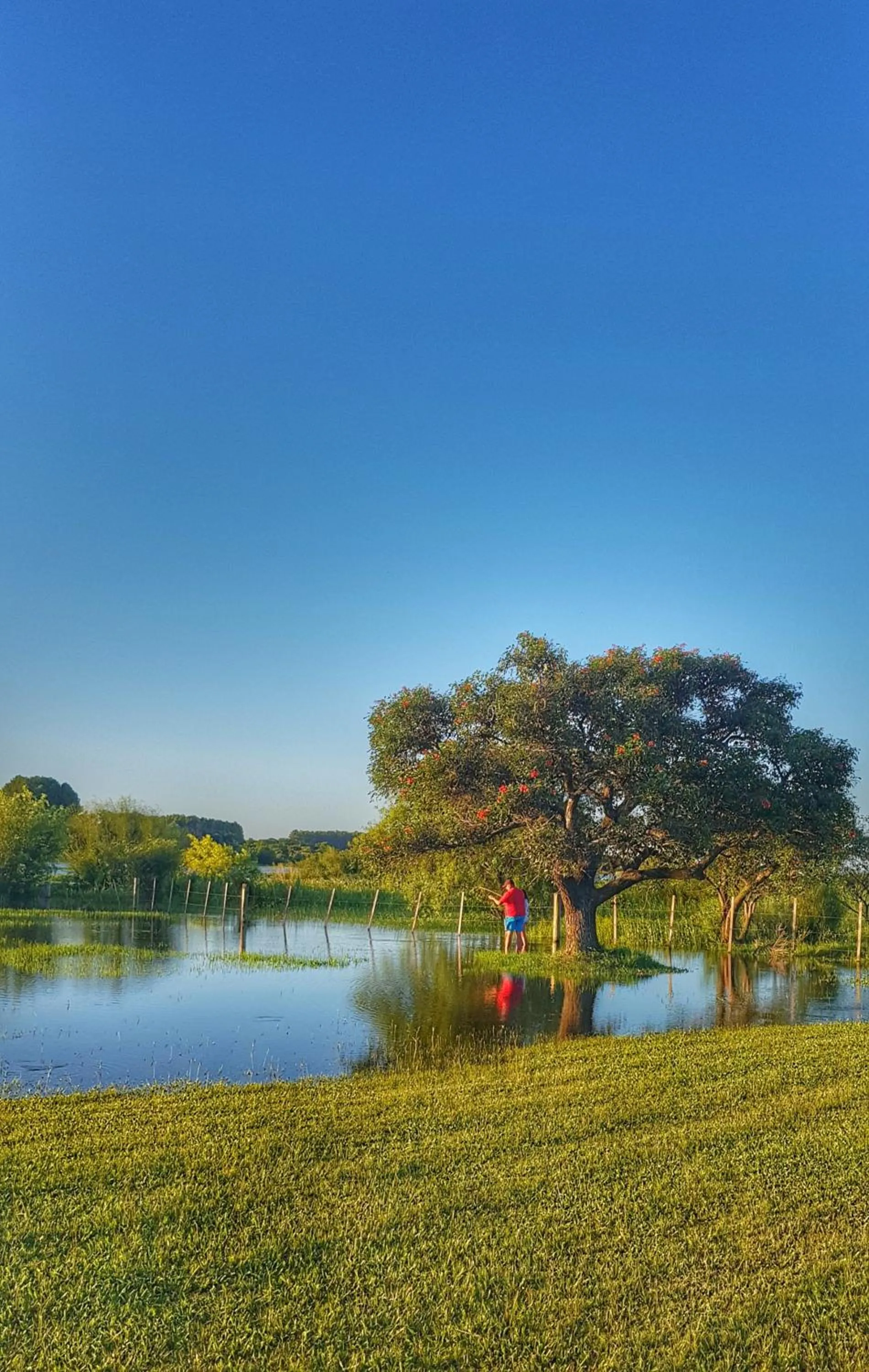 Natural landscape in Terrazas de La Costa Apart Hotel