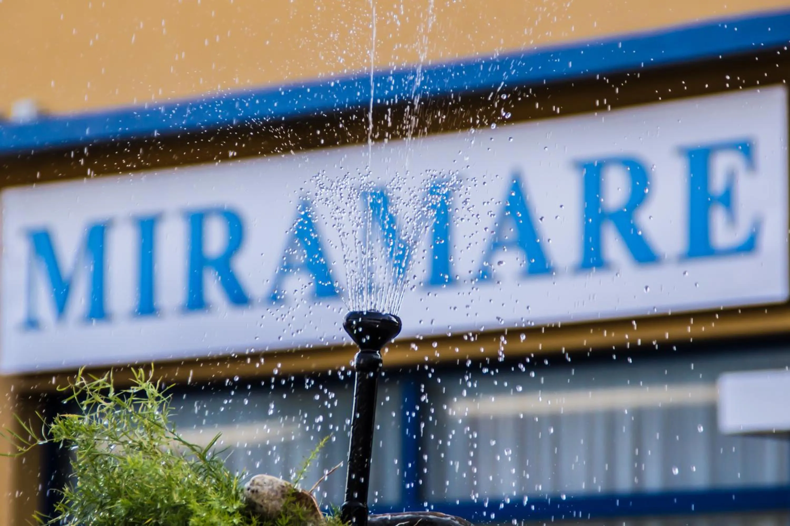 Other in Miramare Hotel