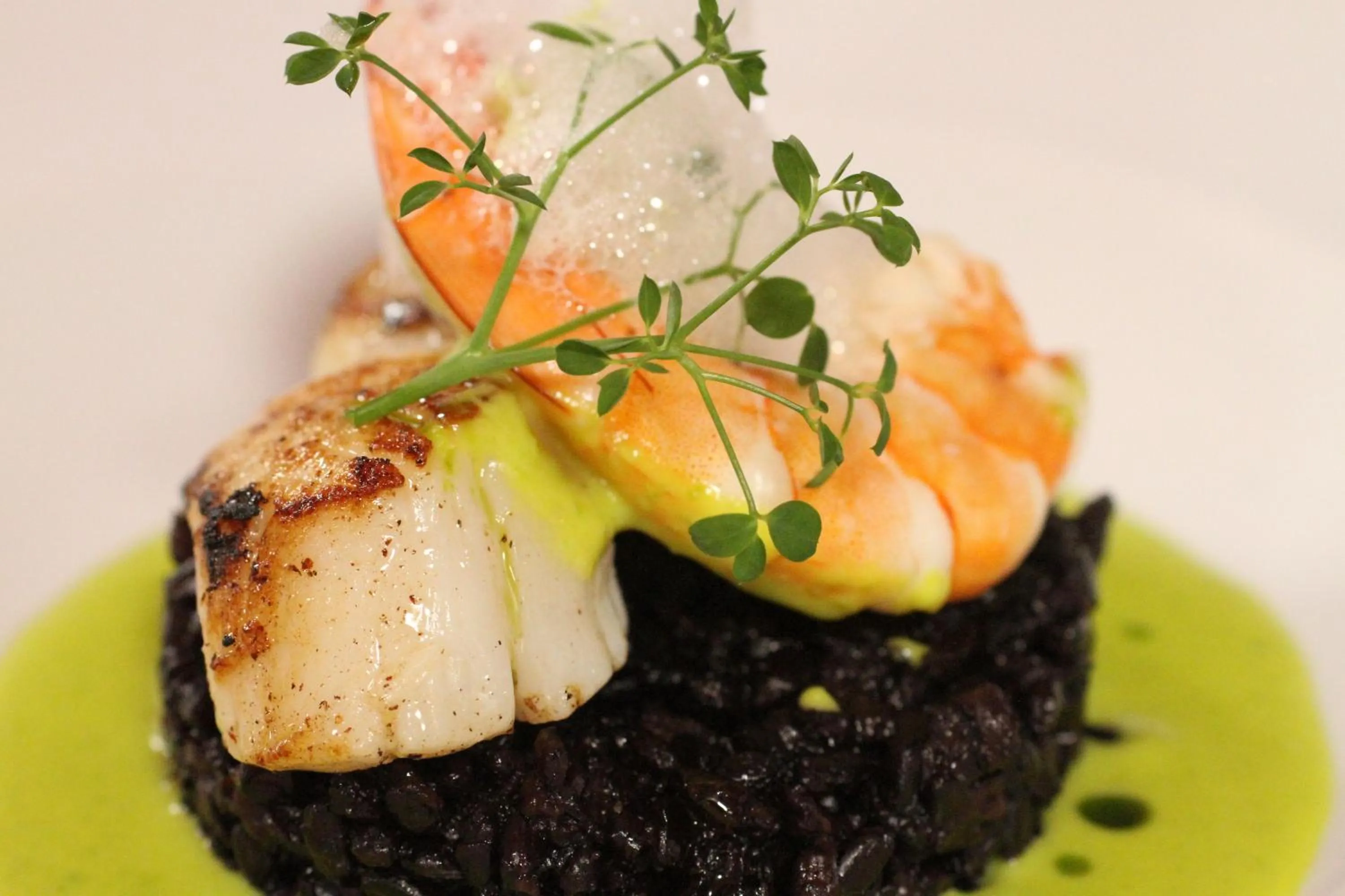 Hôtel Le Verger De Bischwiller