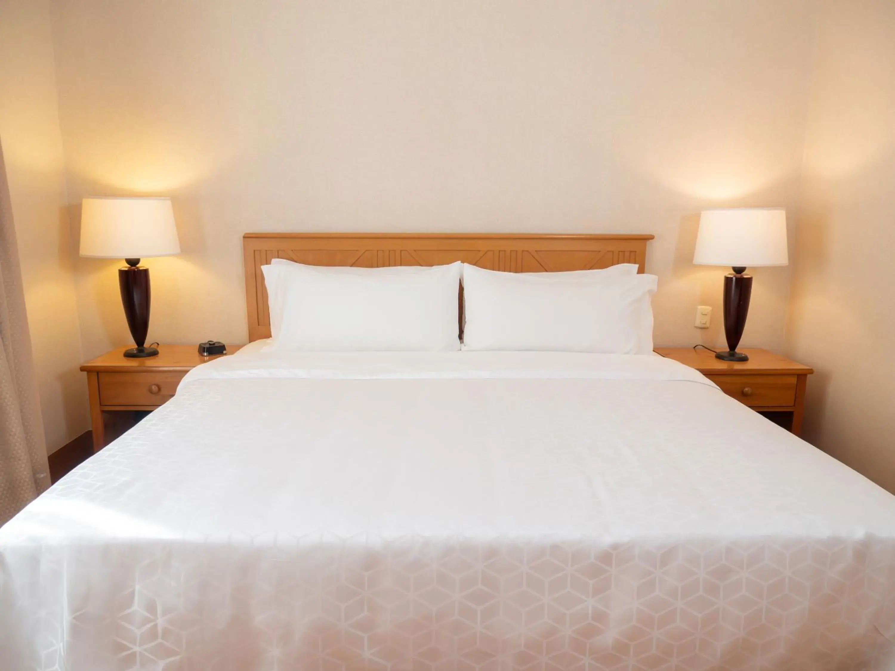 Executive King Room - Non-Smoking in Holiday Inn Express Guanajuato by IHG Executive King Room - Non-Smoking in Holiday Inn Express Guanajuato by IHG