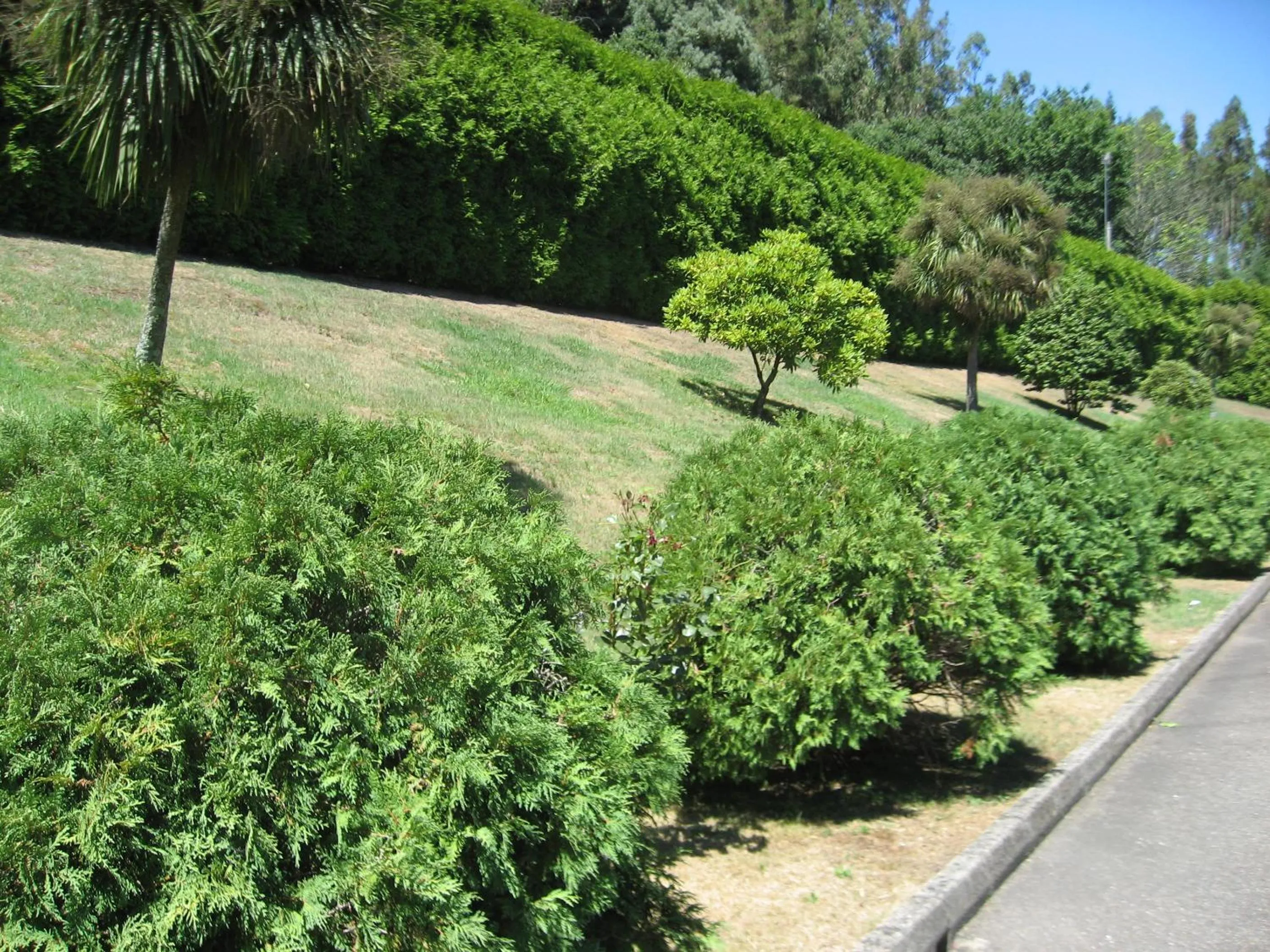 Property building in Motel Caldas