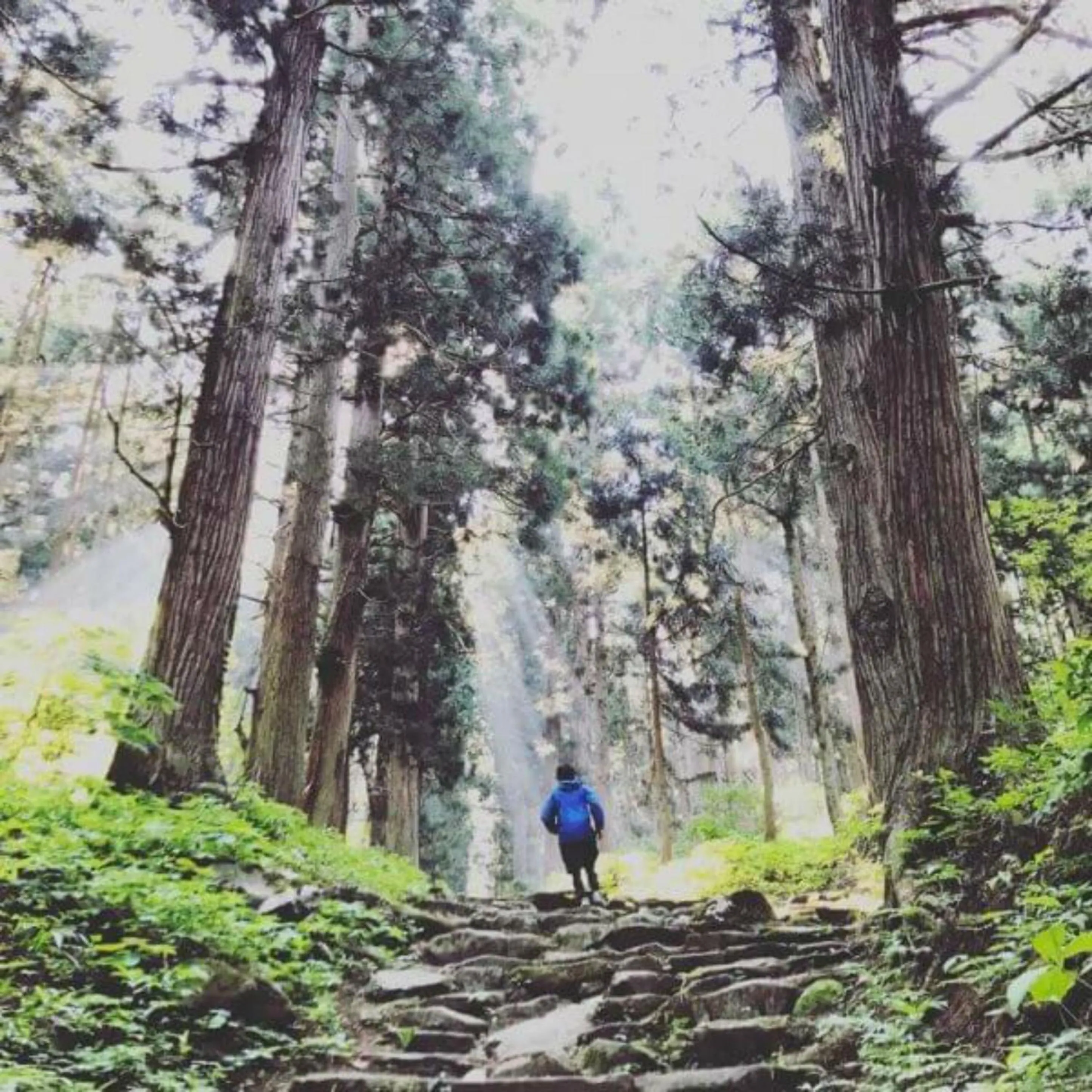 Hiking in Nozawa Central