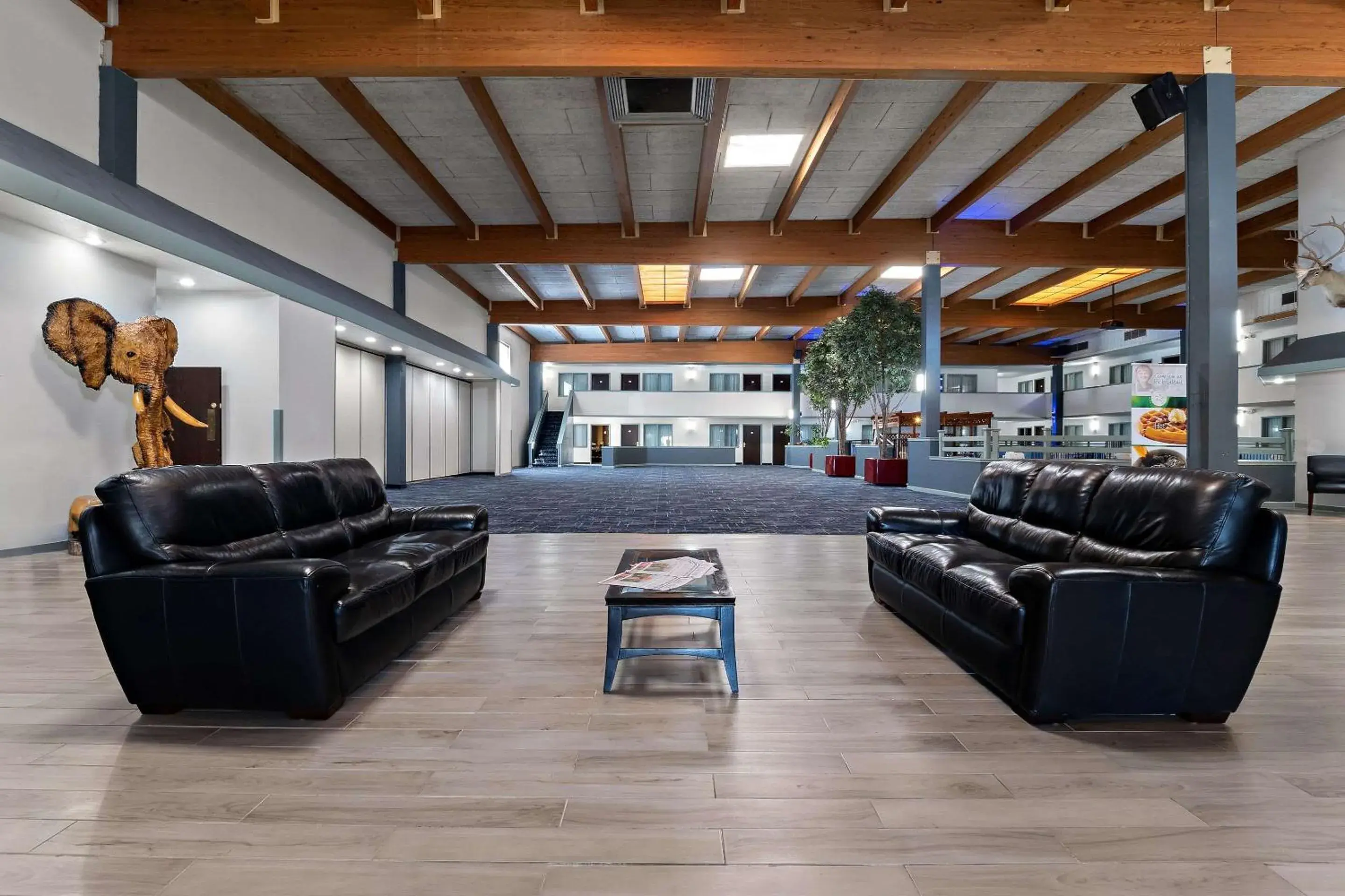 Lobby or reception in Quality Inn & Suites Craig Lobby or reception in Quality Inn & Suites Craig