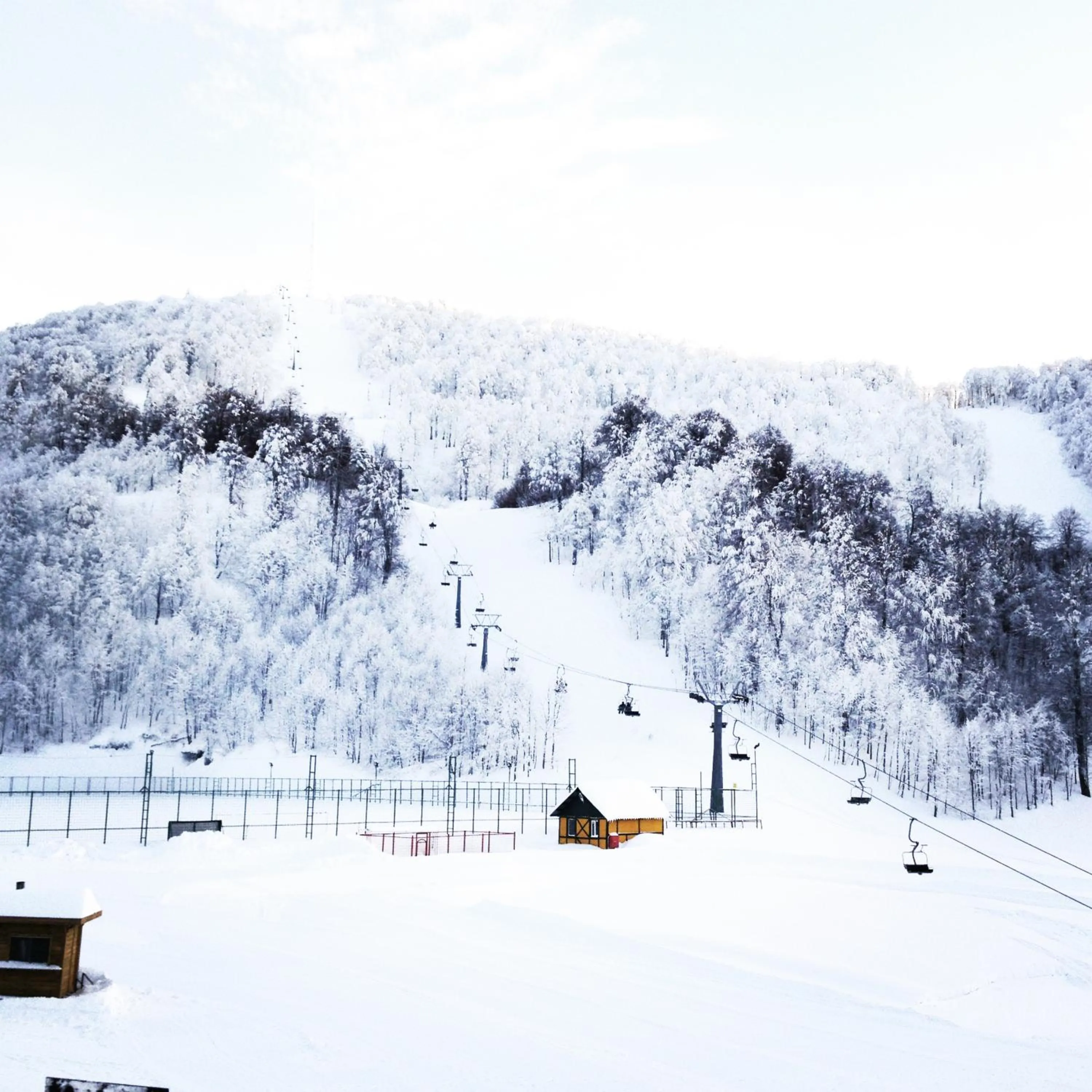 Natural landscape in The Green Park Kartepe