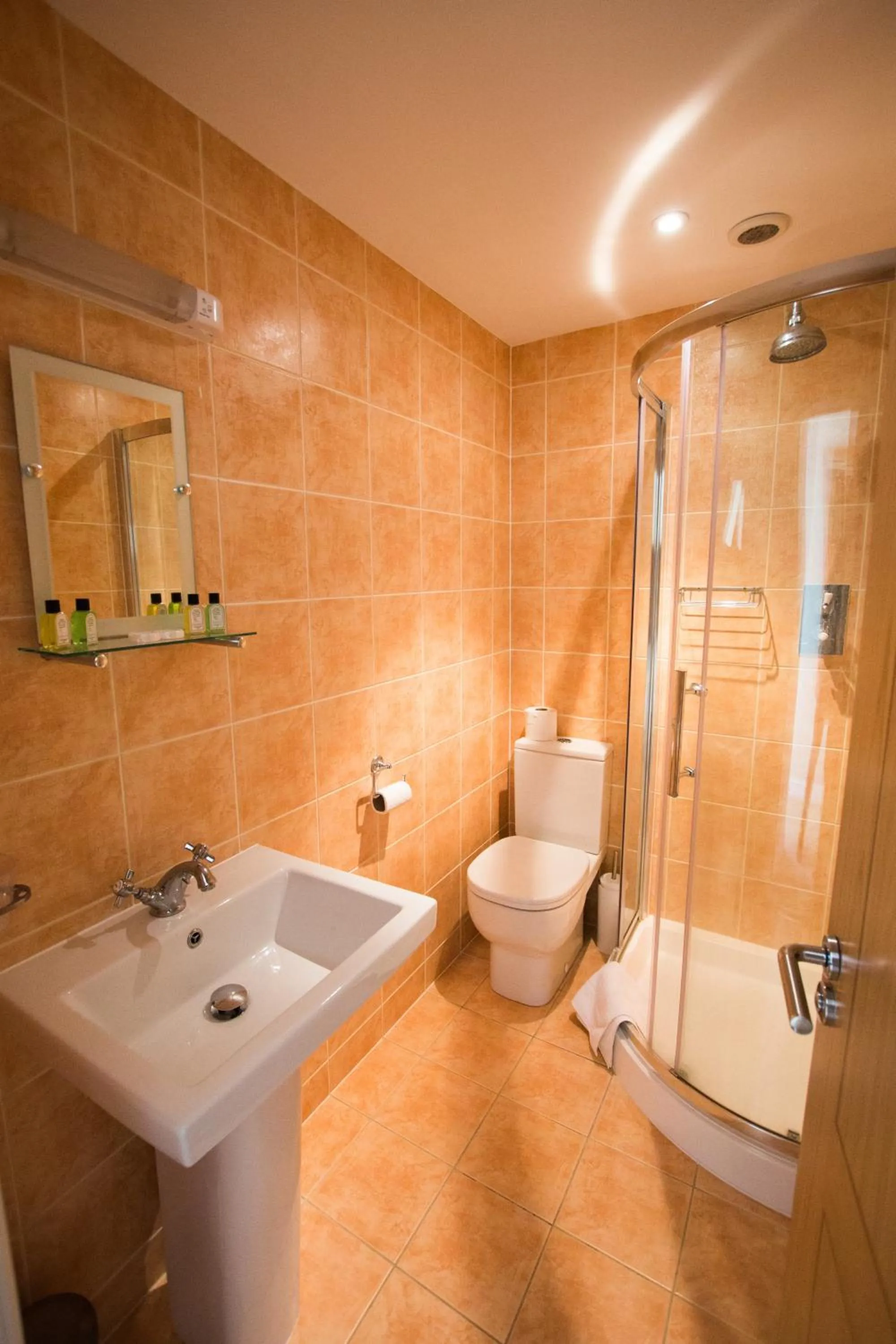 Bathroom in Star Inn