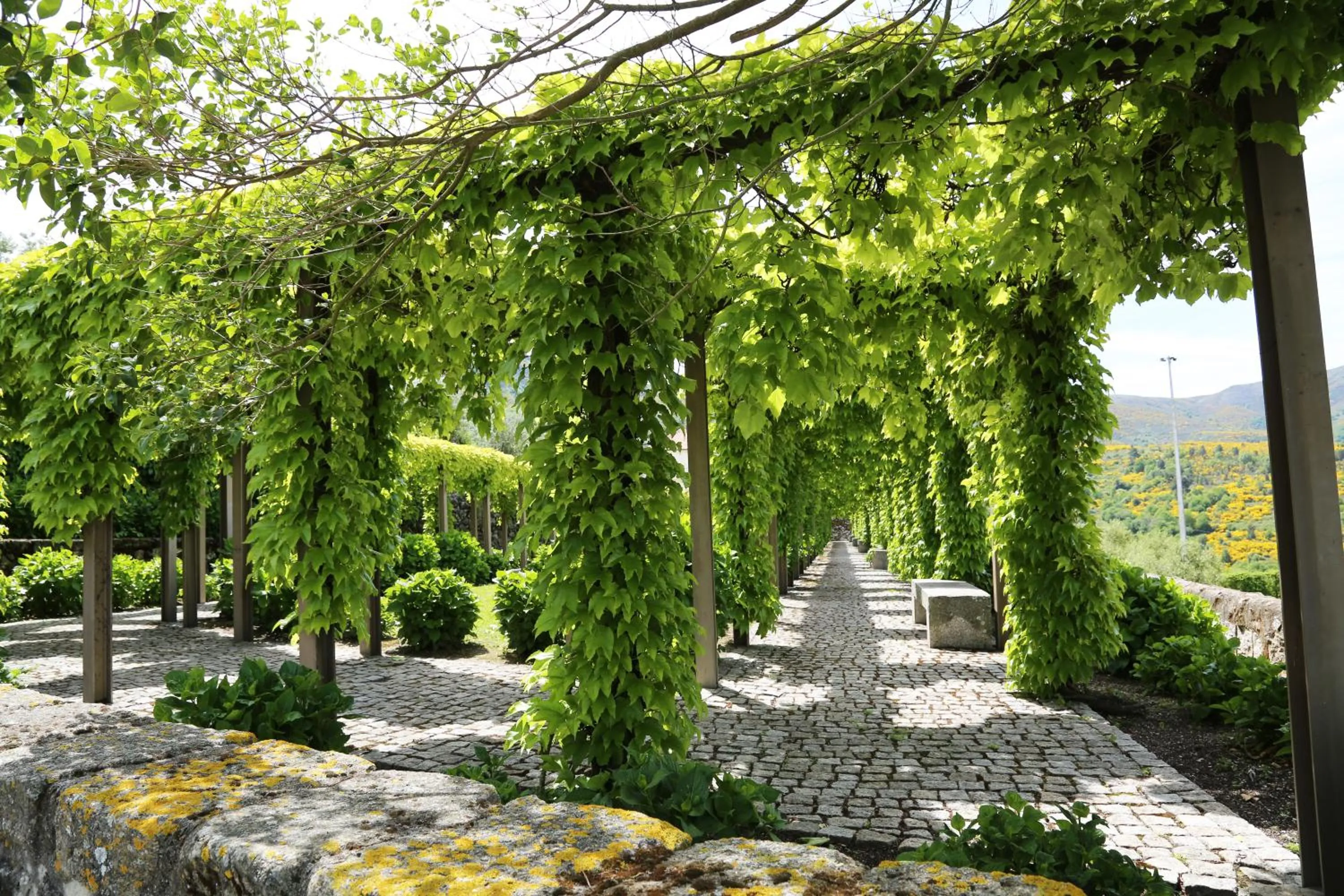 Garden in INATEL Linhares da Beira Hotel Rural