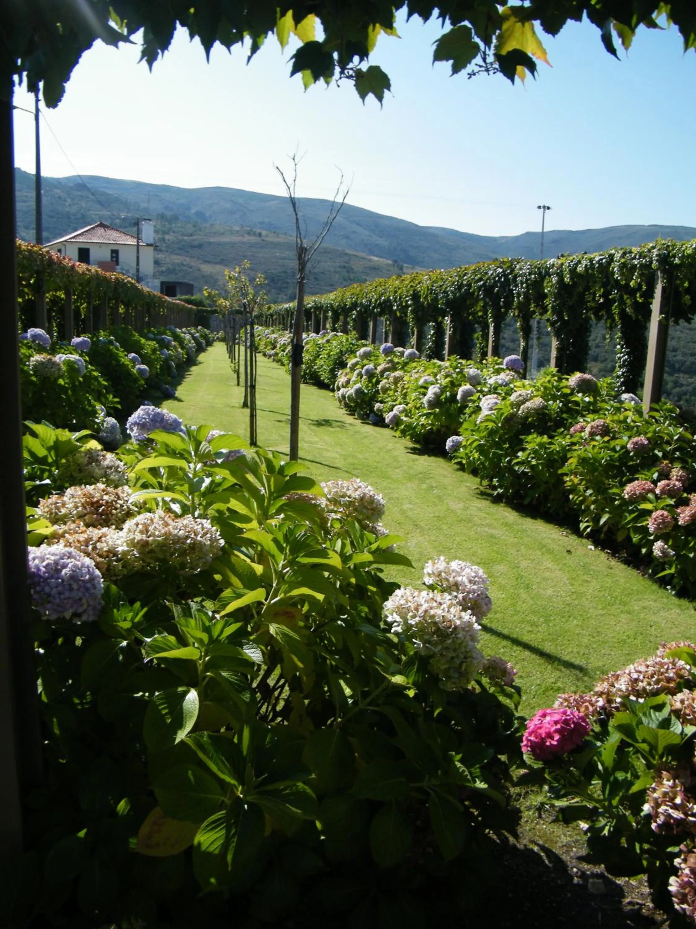 Garden in INATEL Linhares da Beira Hotel Rural