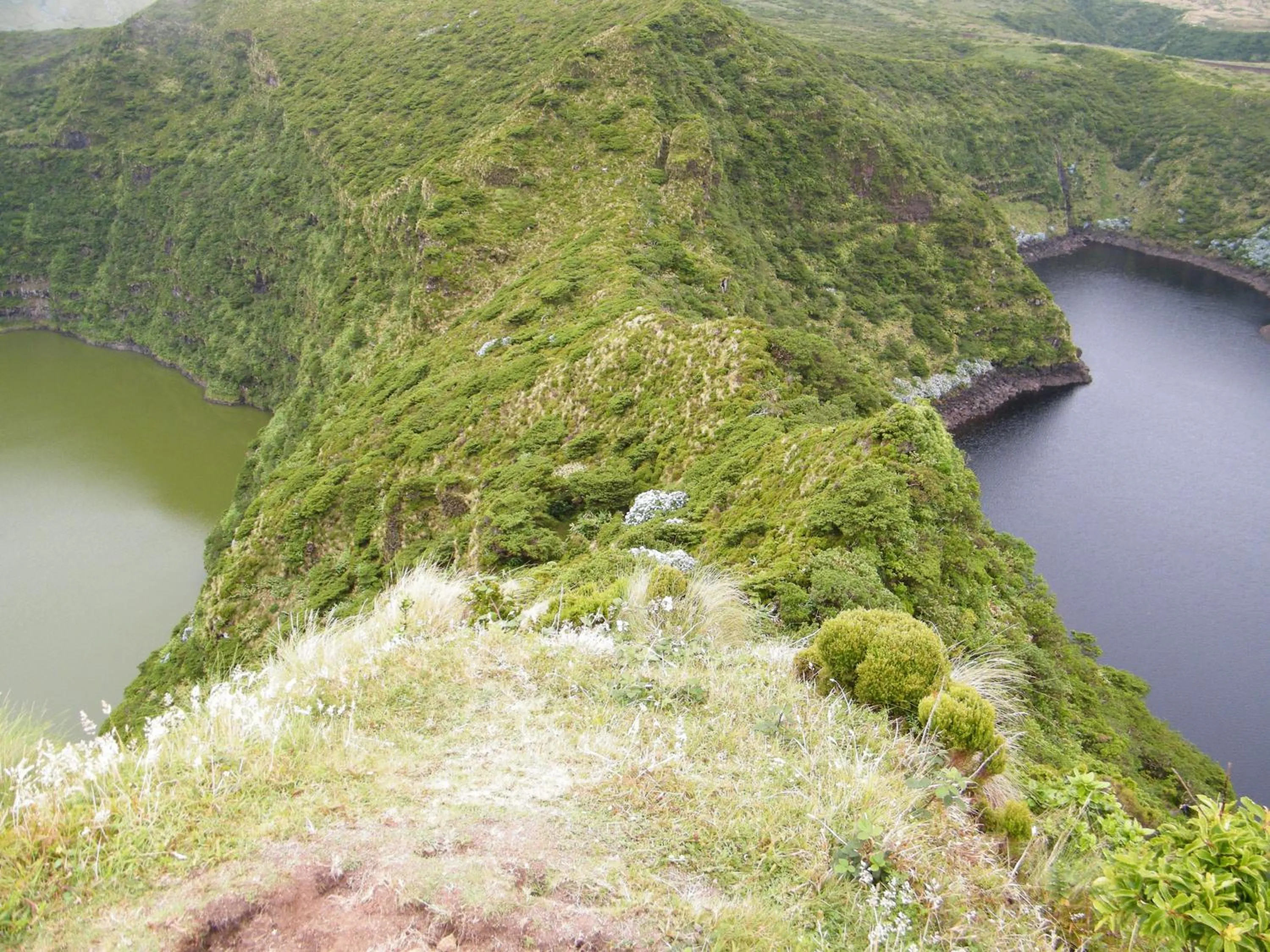 Natural landscape in INATEL Flores