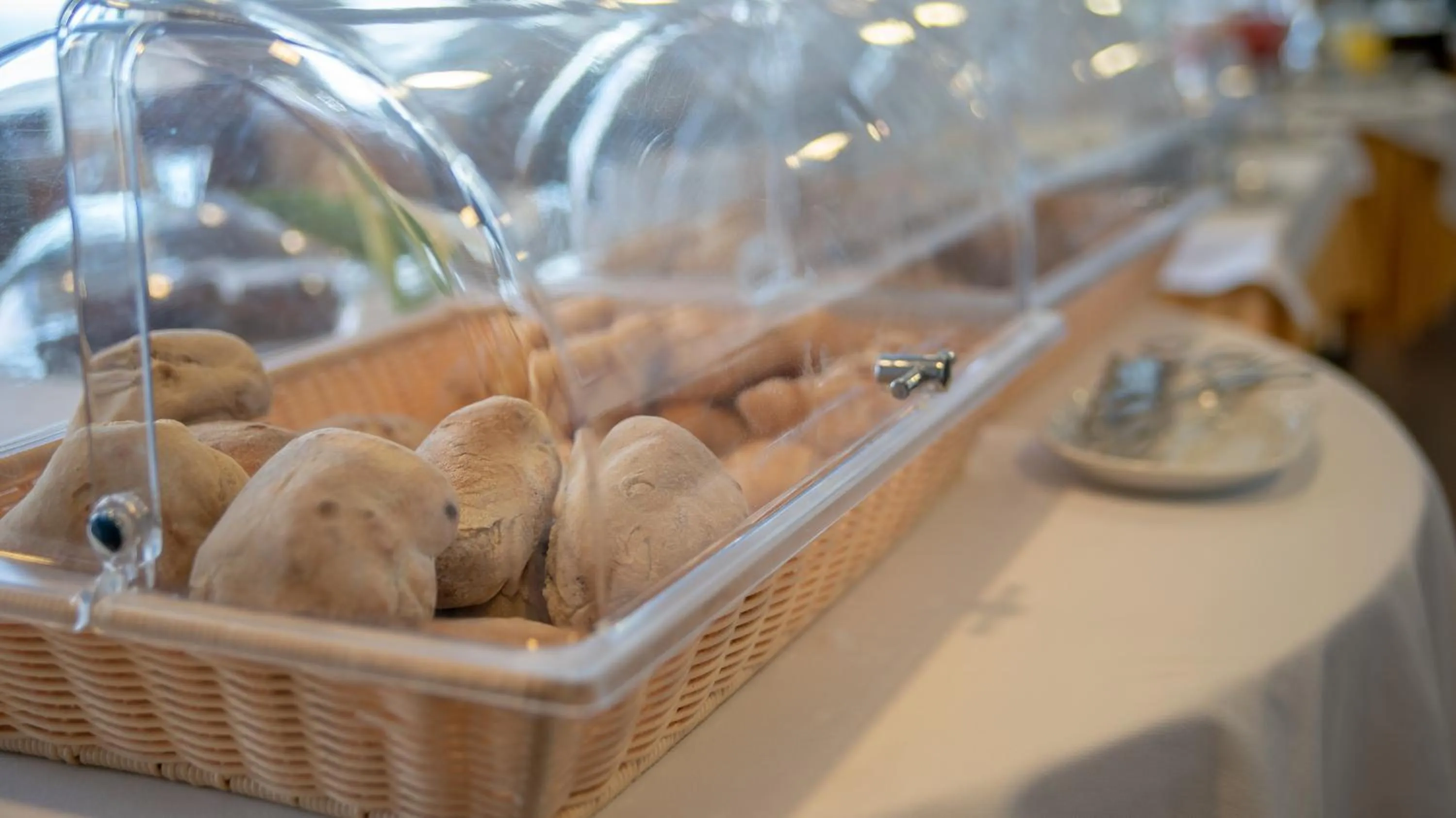 Food and drinks in INATEL Flores