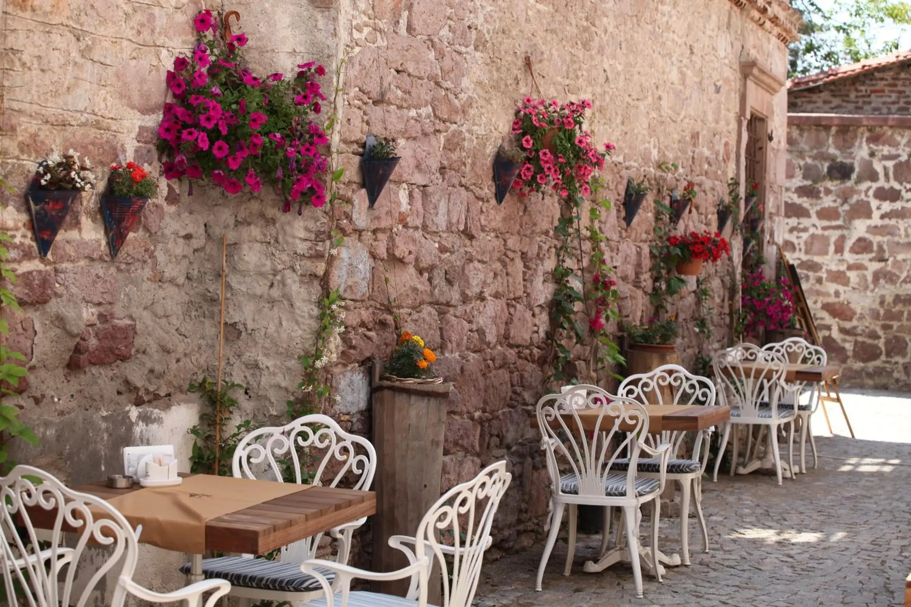 Garden view in Orchis Hotel Garden view in Orchis Hotel