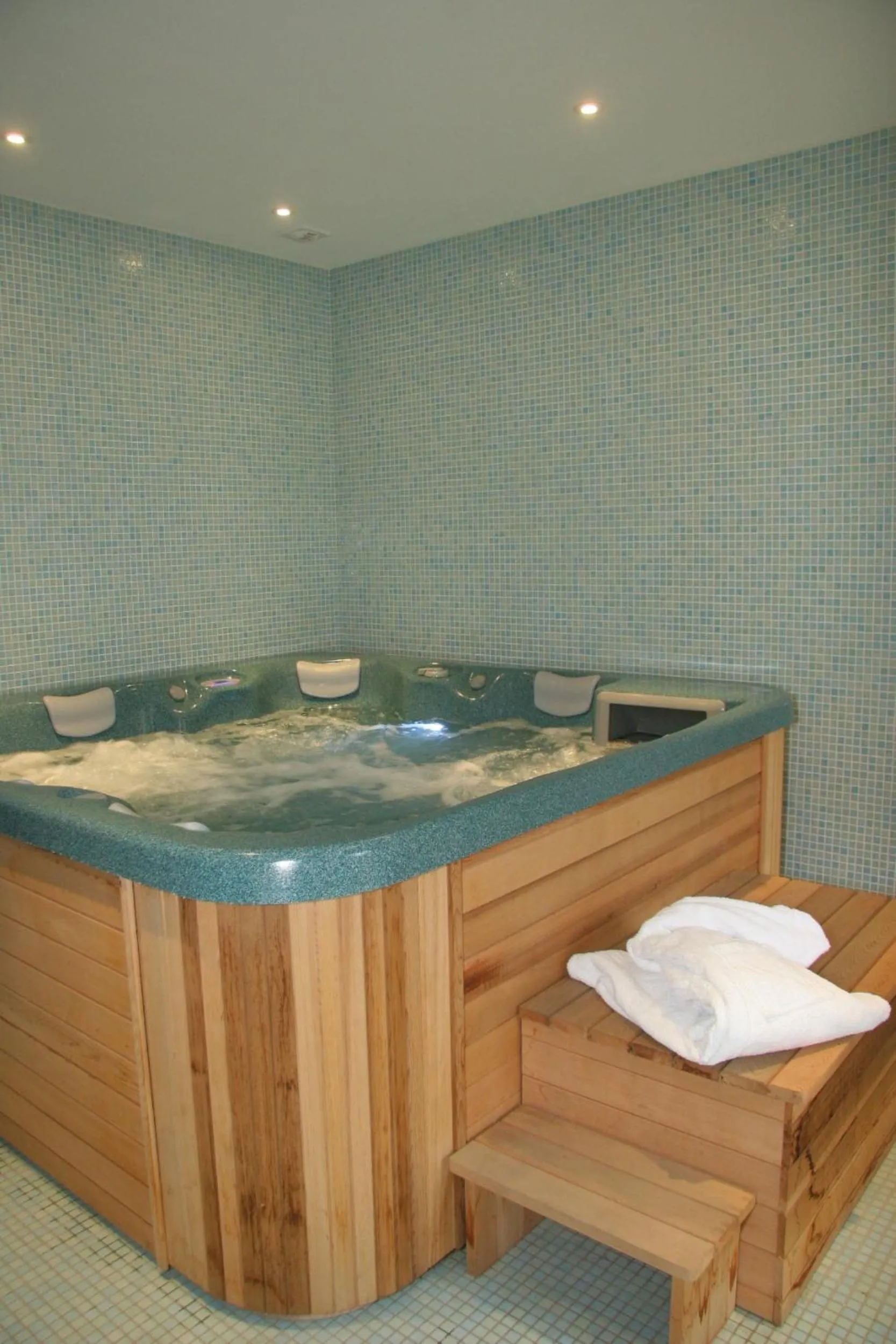 Spa and wellness centre/facilities in Hôtel Le Chalet