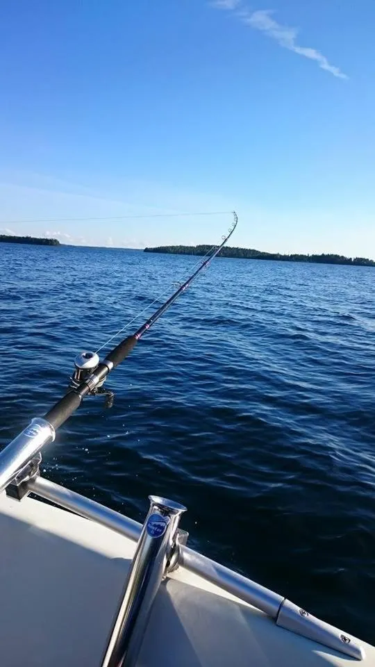Summer in Wanhan Apteekin Majatalo