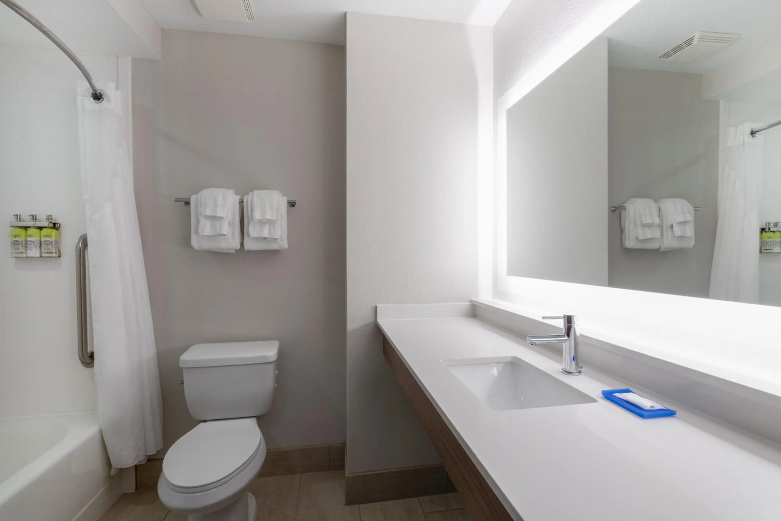 Bathroom in Holiday Inn Express Crystal River by IHG