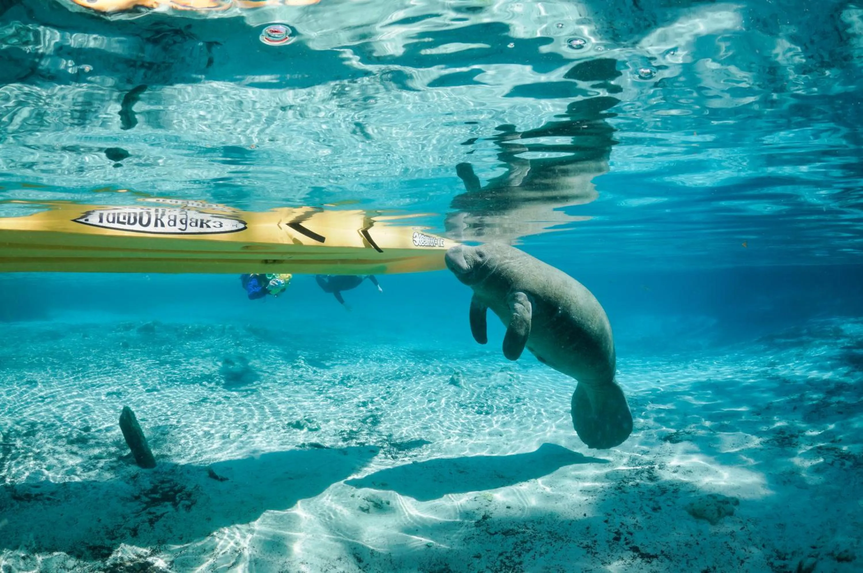 Area and facilities in Holiday Inn Express Crystal River by IHG