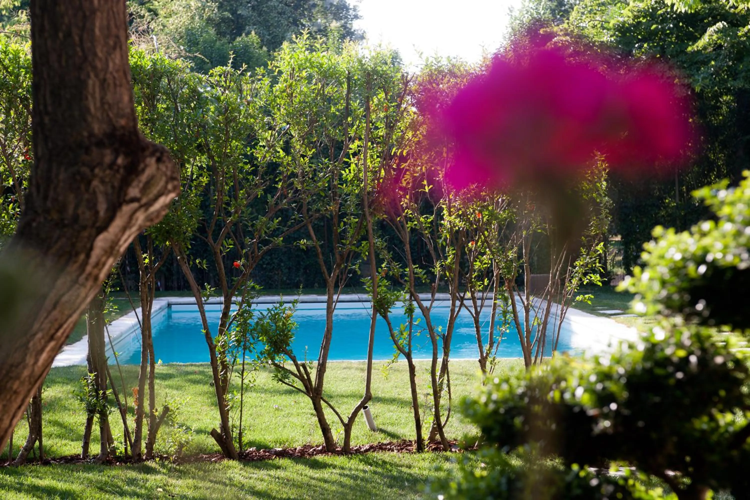 Swimming Pool in Casa Delle Meridiane