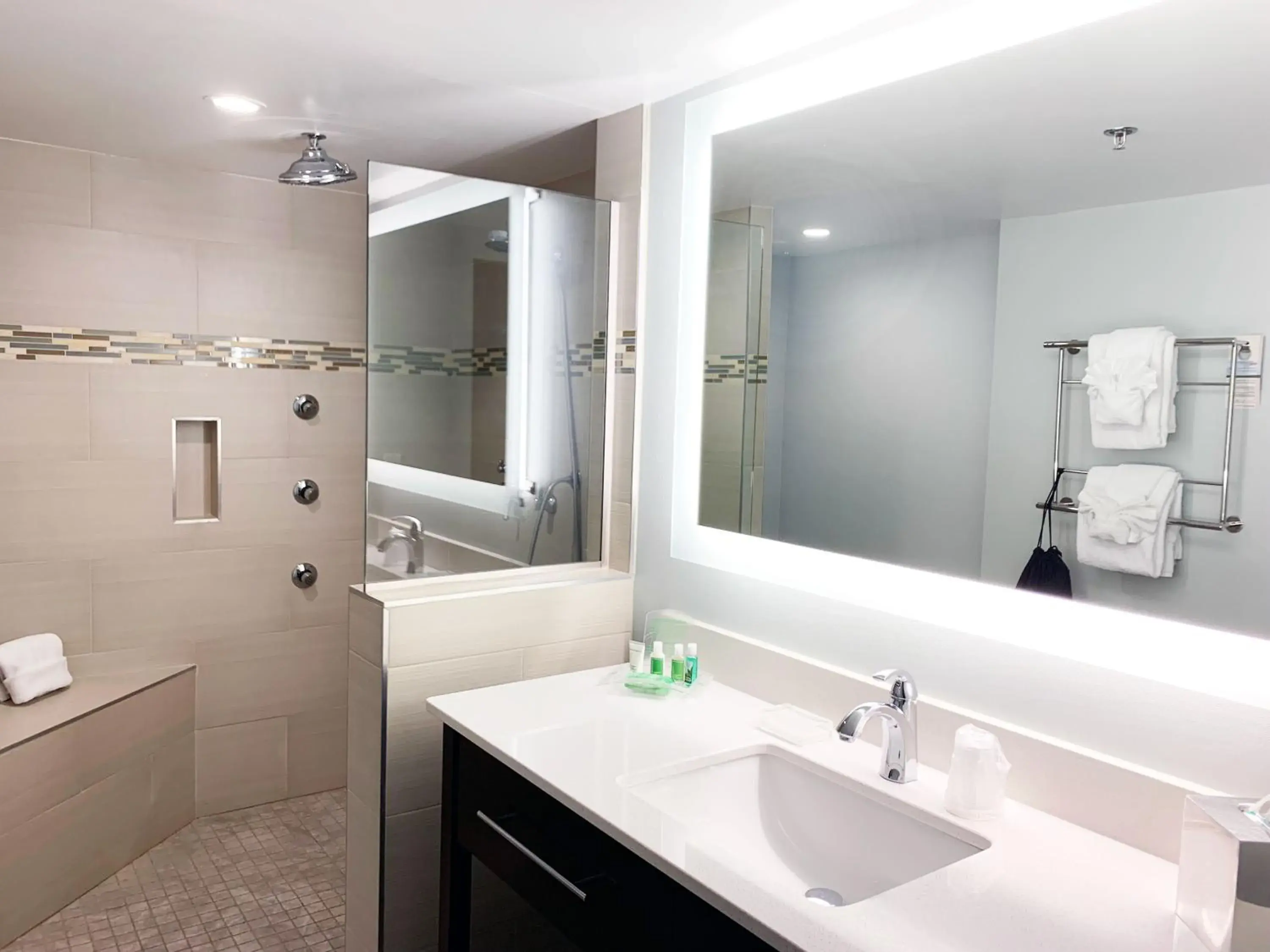 One-Bedroom King Suite in Holiday Inn University Area Charlottesville by IHG One-Bedroom King Suite in Holiday Inn University Area Charlottesville by IHG