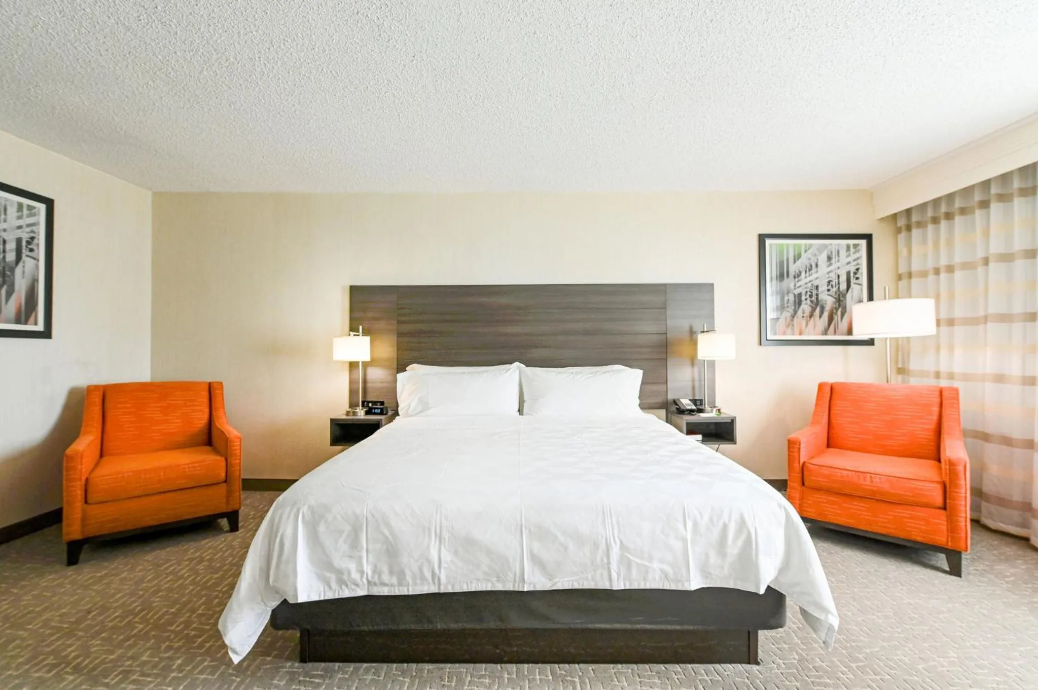 Photo of the whole room, Bed in Holiday Inn University Area Charlottesville by IHG