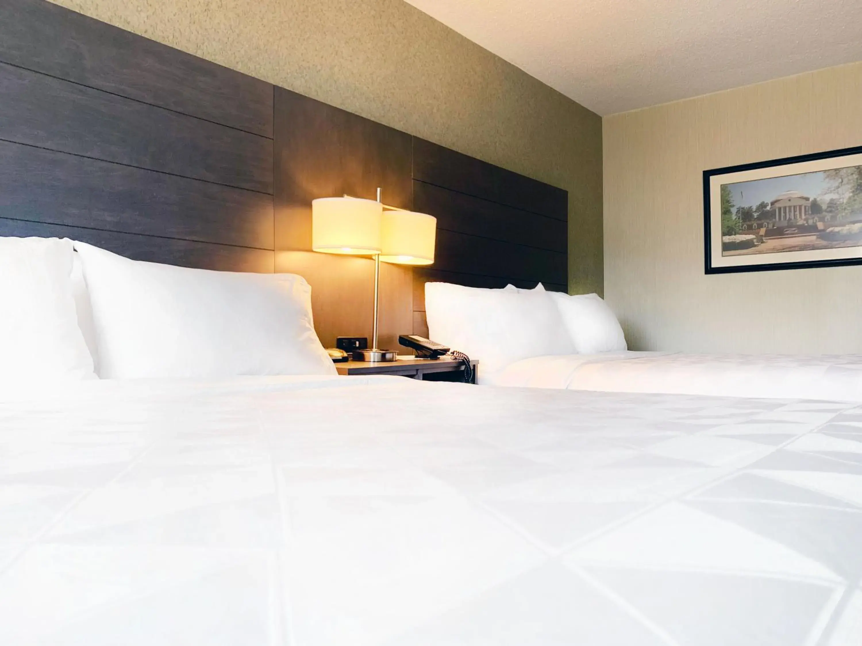 Bedroom, Bed in Holiday Inn University Area Charlottesville by IHG Bedroom, Bed in Holiday Inn University Area Charlottesville by IHG