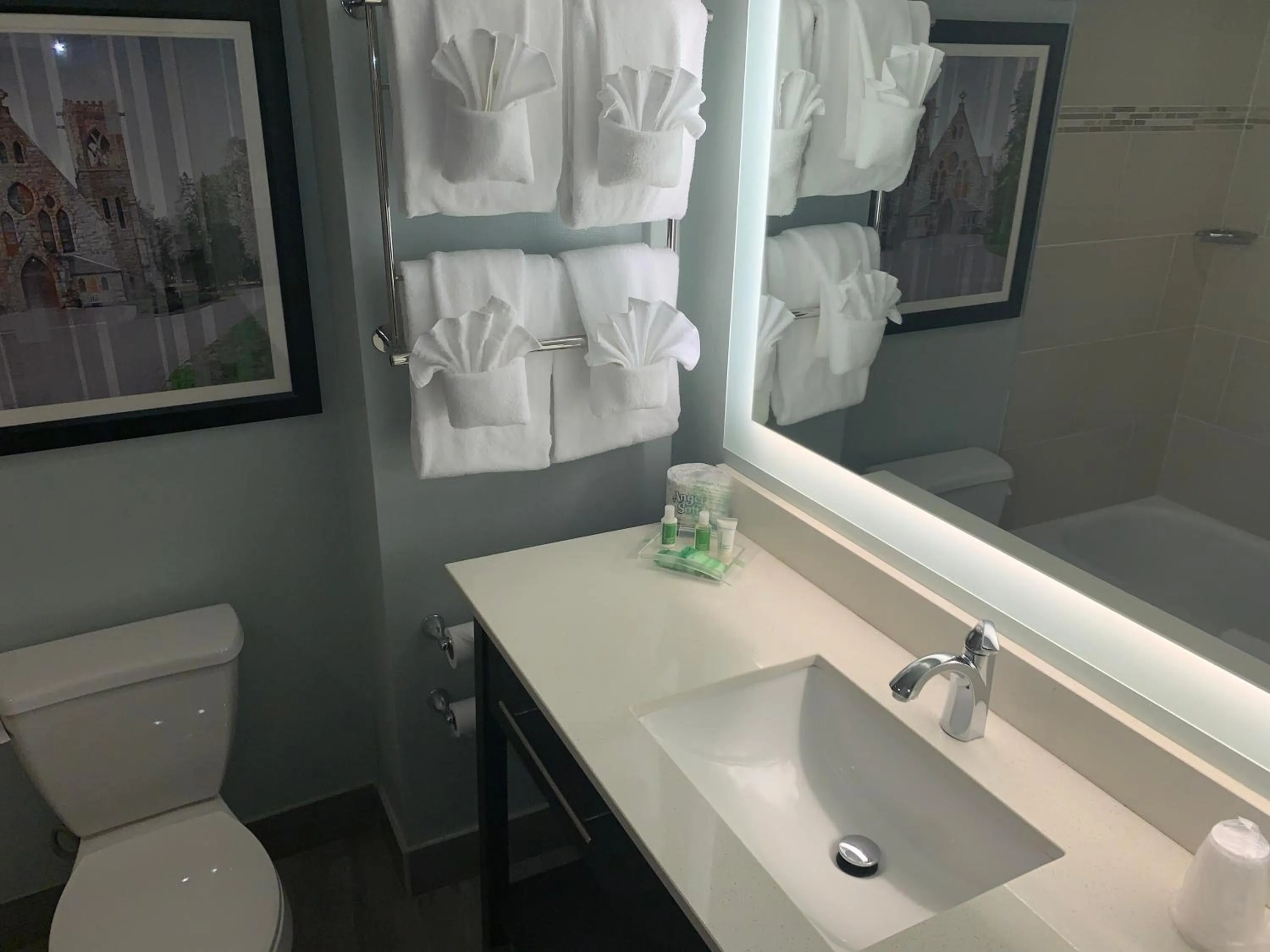 Bathroom in Holiday Inn University Area Charlottesville by IHG