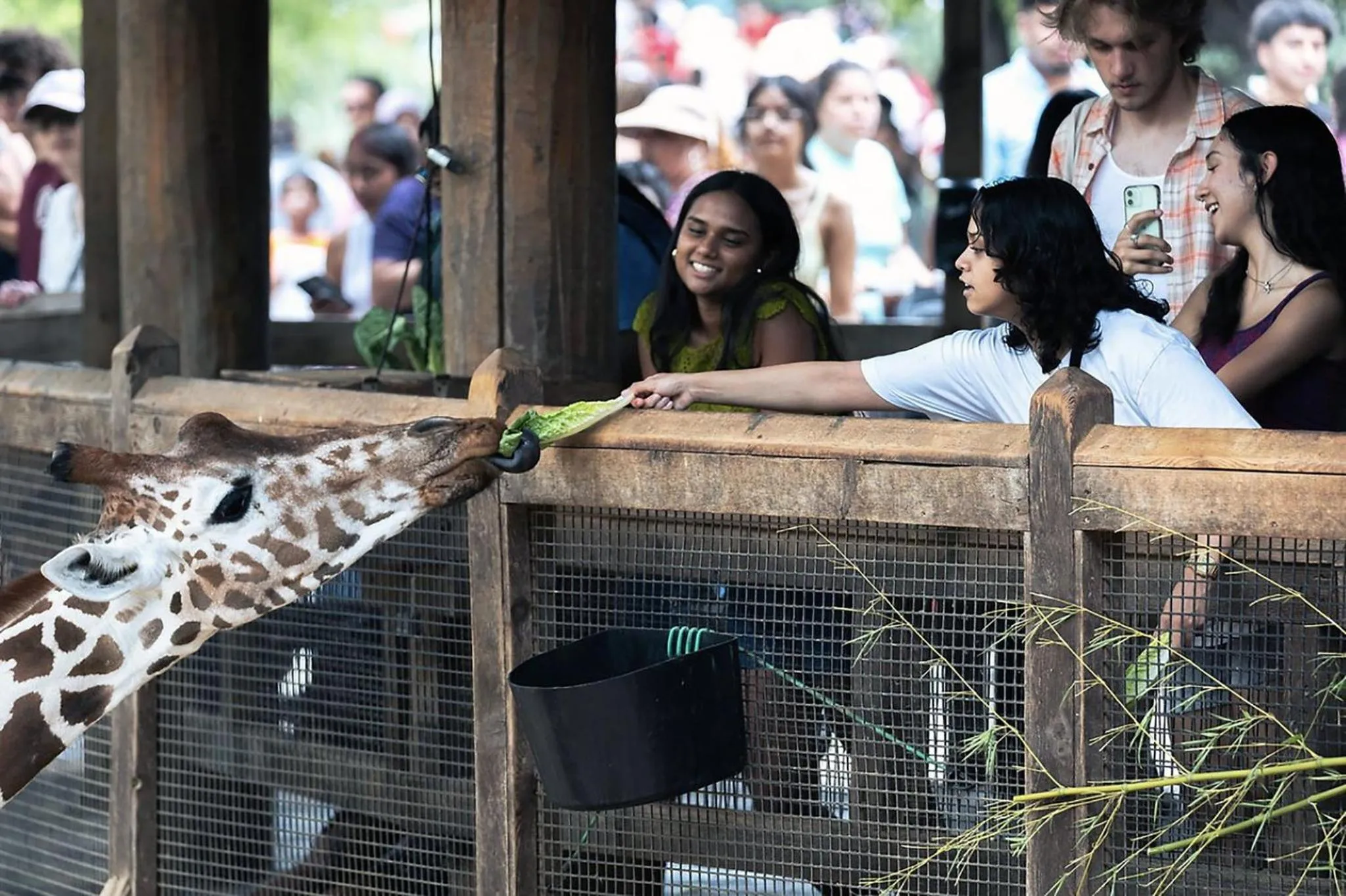 Nearby landmark in Holiday Inn Garland by IHG